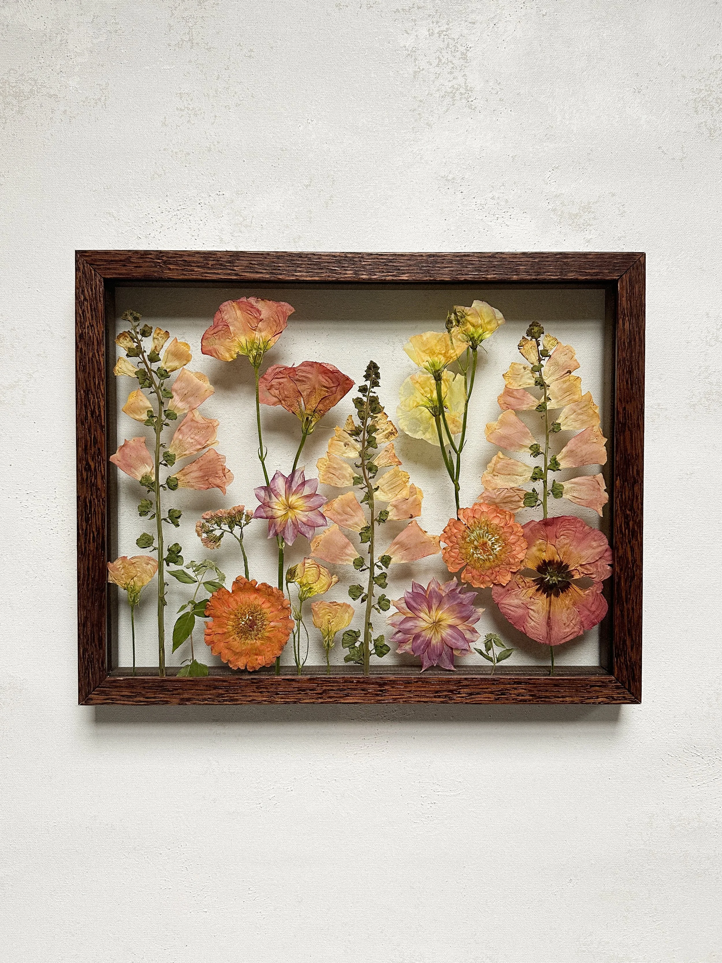 11x14 Walnut Meghan O.jpeg