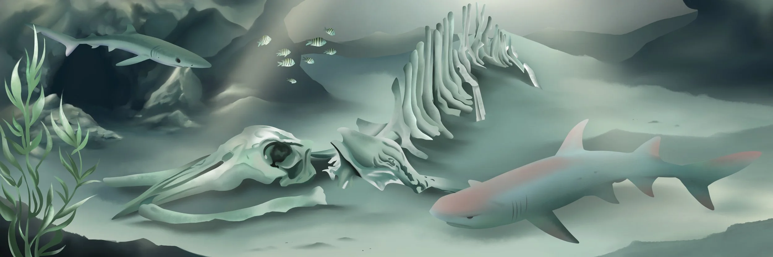 Ocean_Final_ 5.jpg