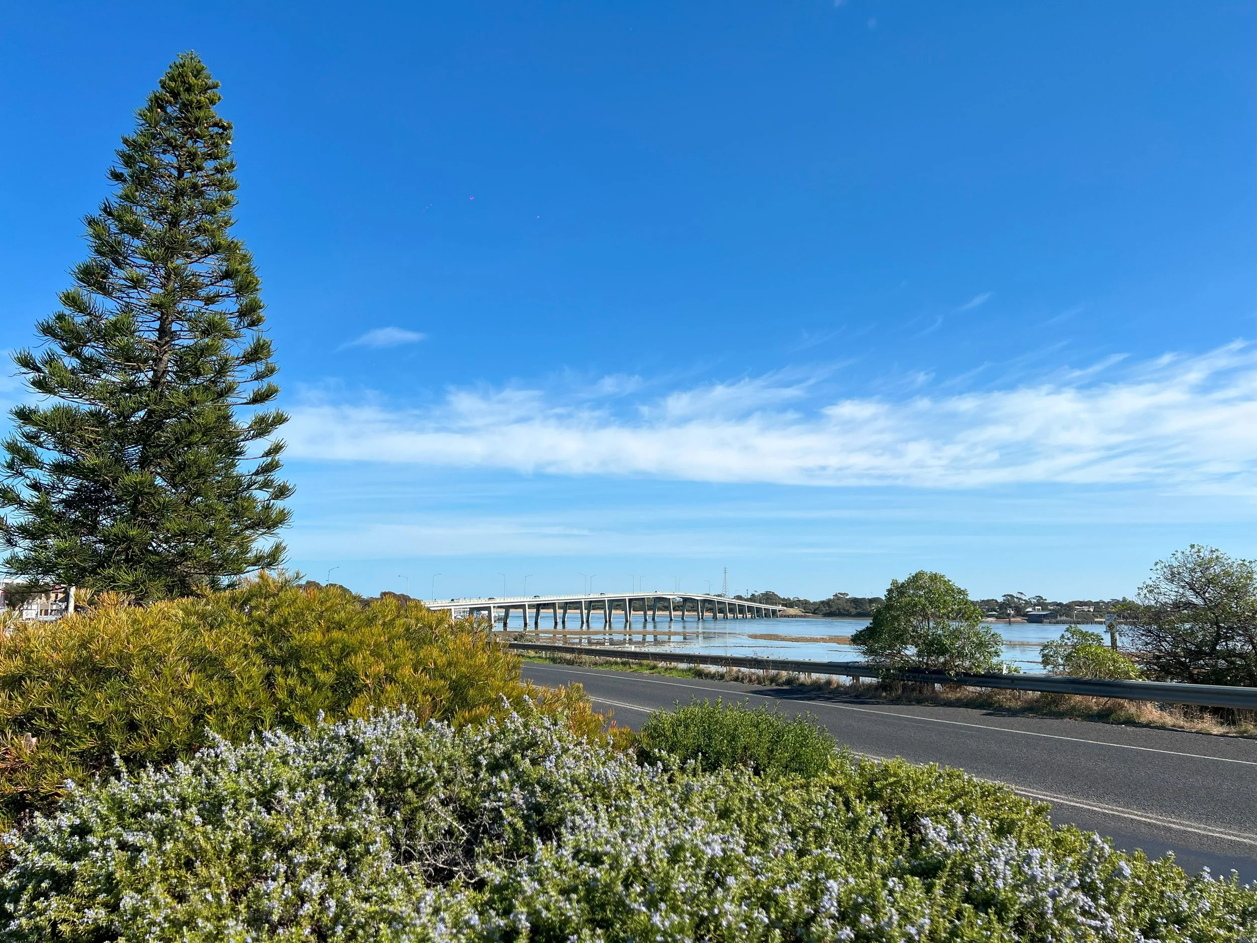 Scenic view of a bridge over a body of water, with green trees, shrubs, and flowering plants in the foreground, under a bright blue sky with wispy clouds.