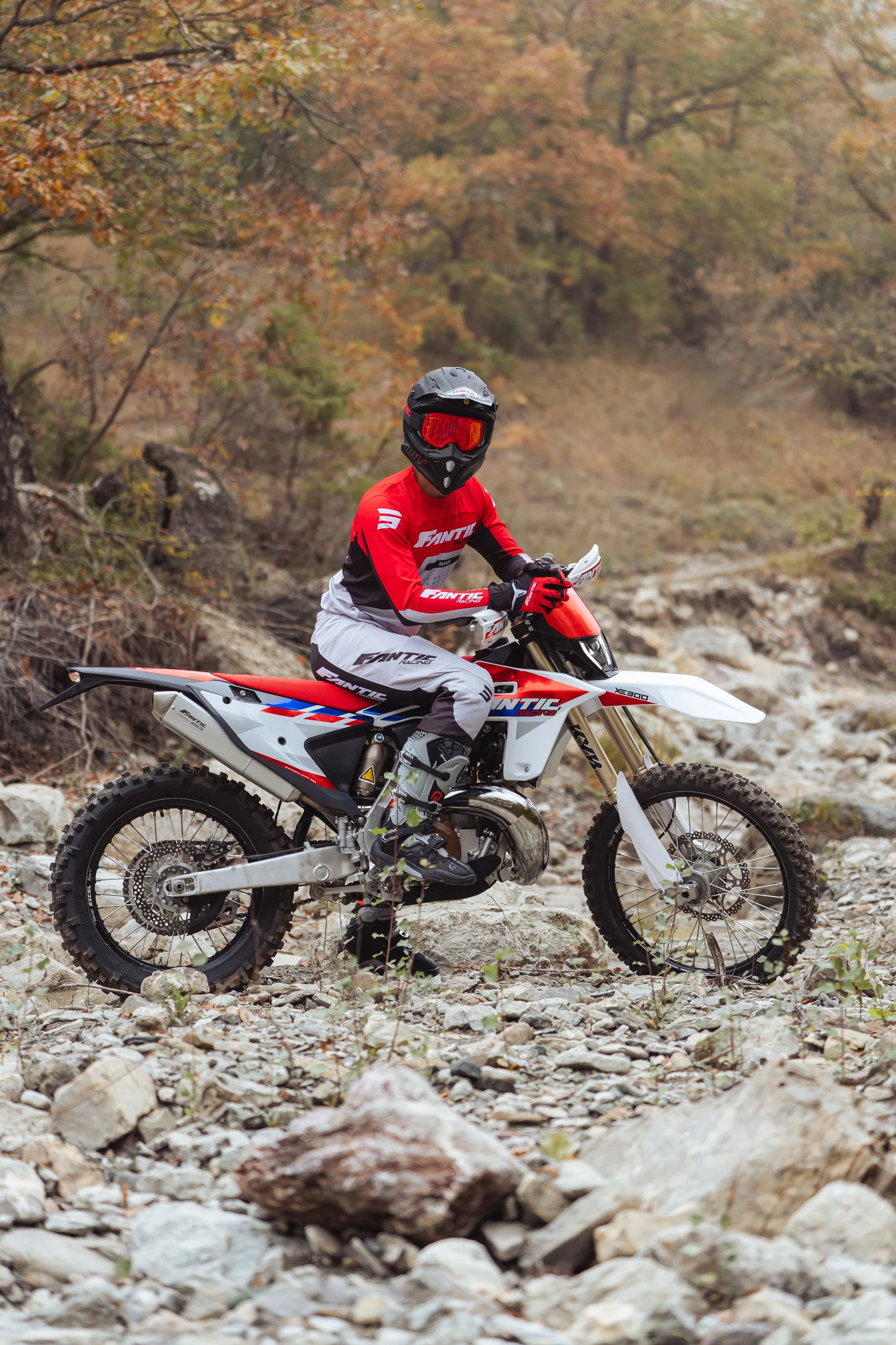 XE300 (5).jpg