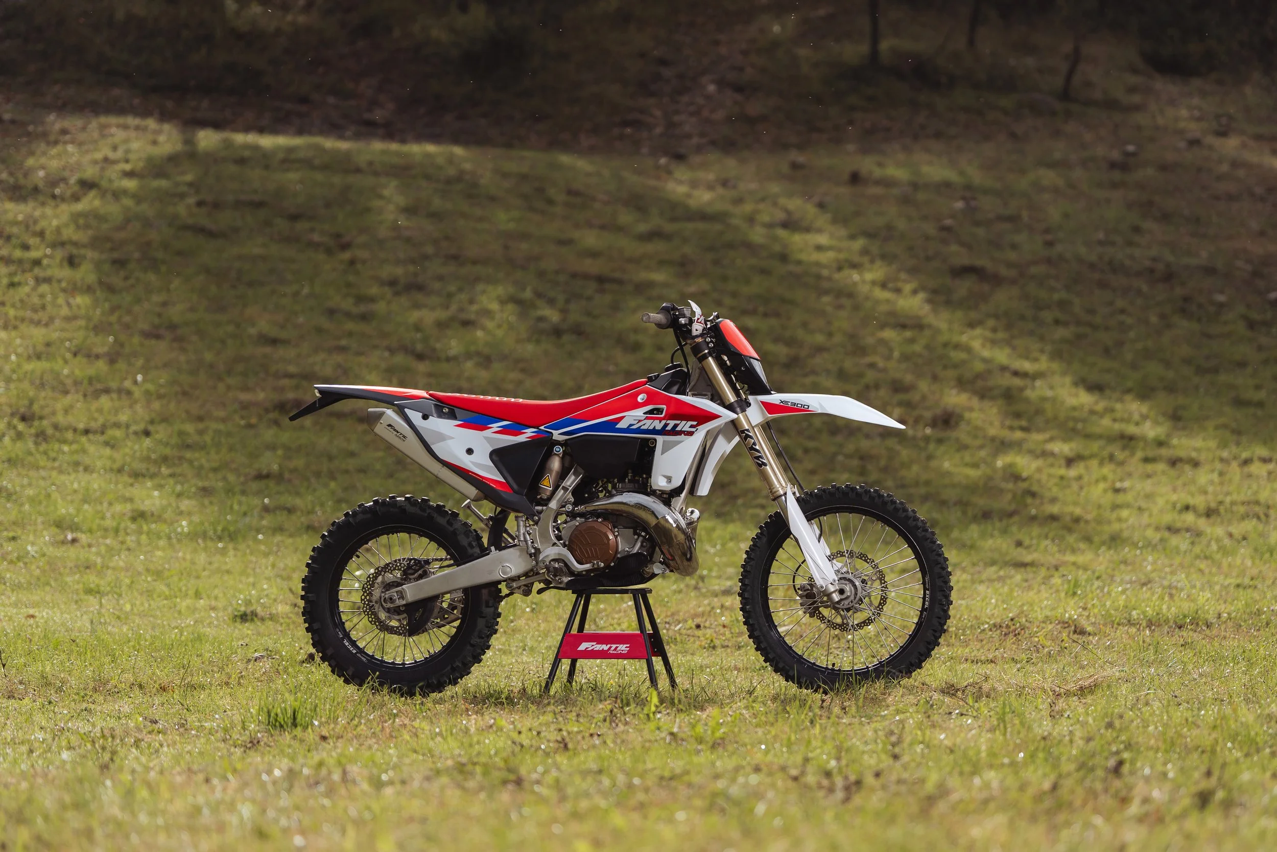 XE300 (9).jpg