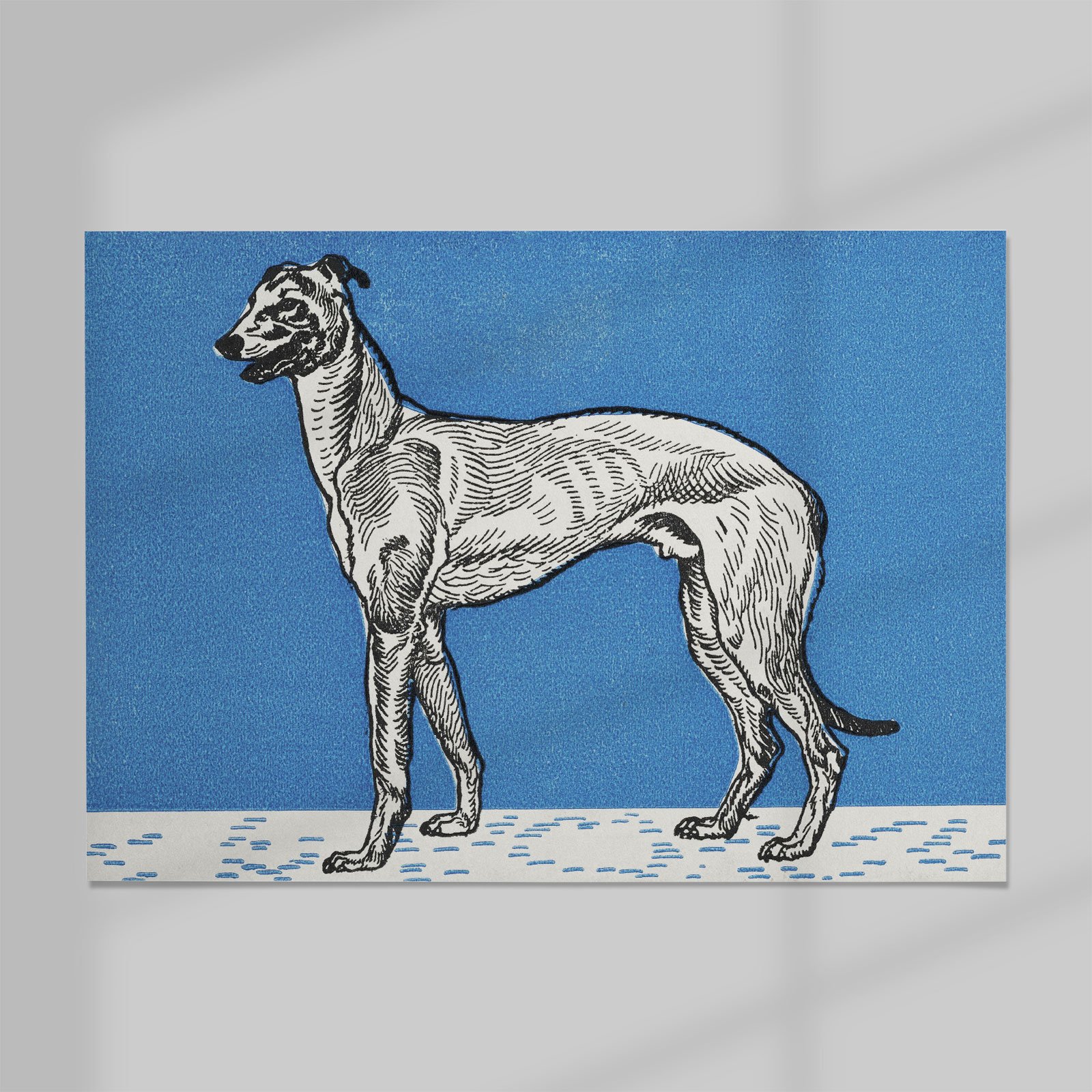 02_Moriz-Jung_Greyhound-(1912).jpg