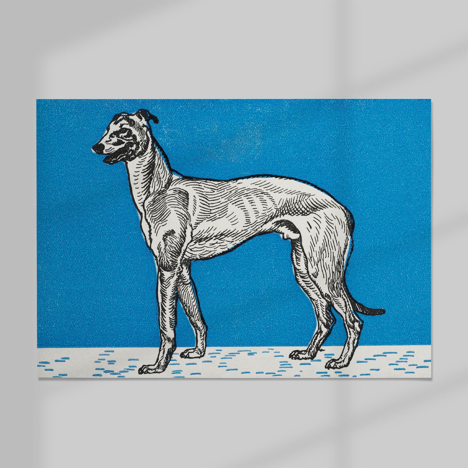 02_Moriz-Jung_greyhound-(1912).jpg