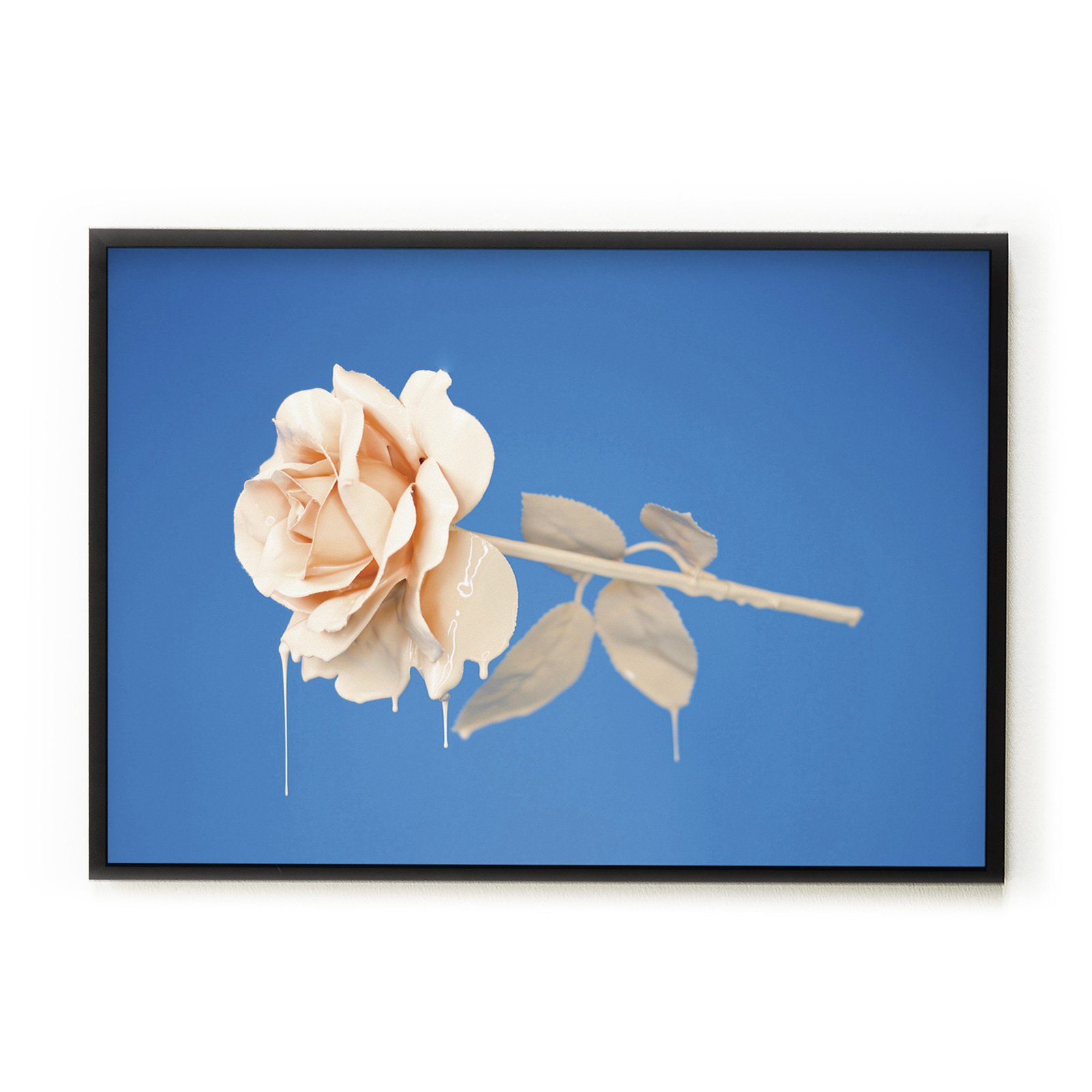 00_Liquid-Rose.jpg