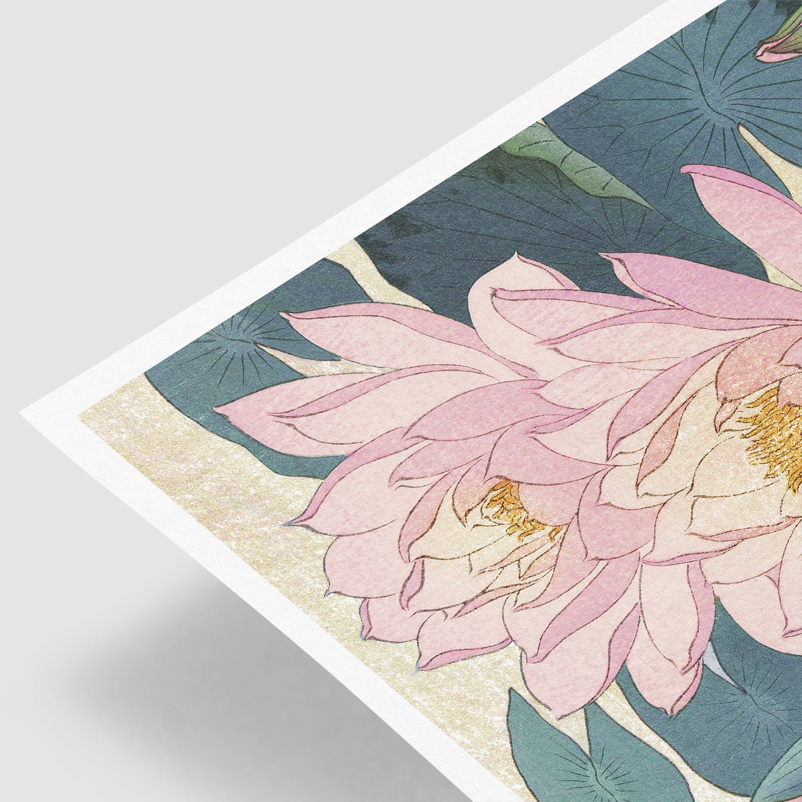 01_Ohara-Koson_Water-Lily.jpg