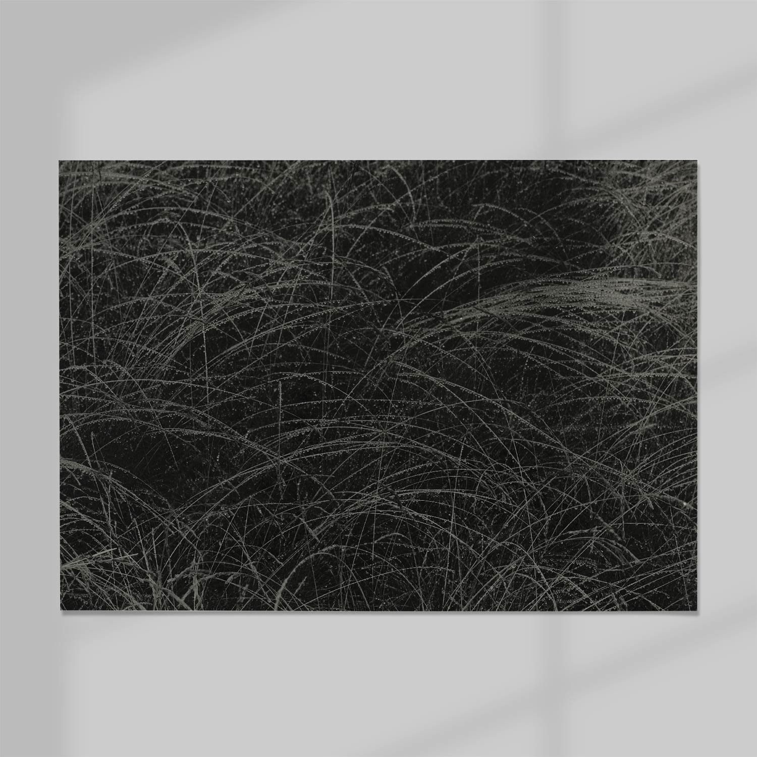01_Alfred-Stieglitz_Equivalent_1927.jpg