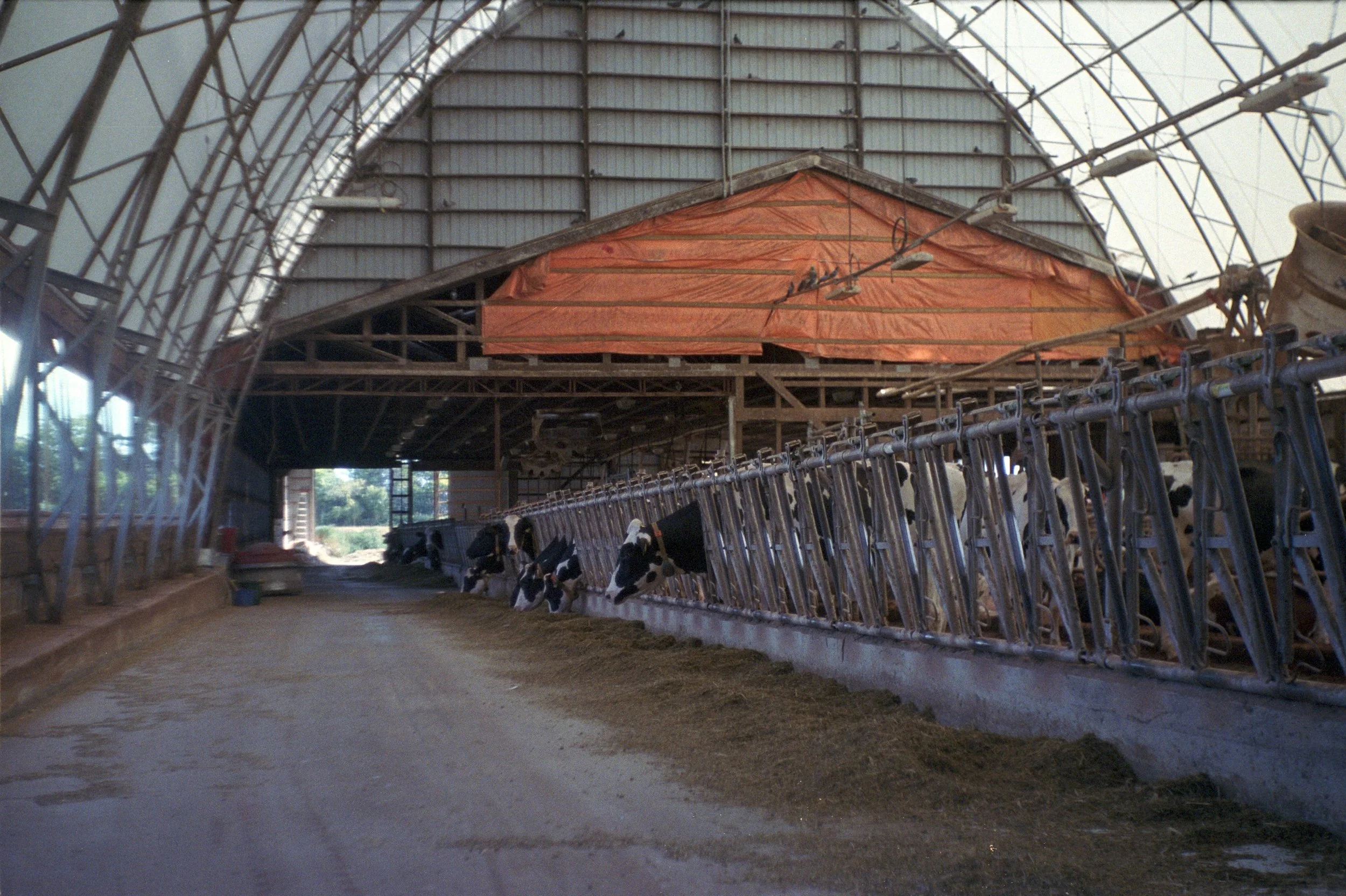 Kodak Portra 400 (29).jpg