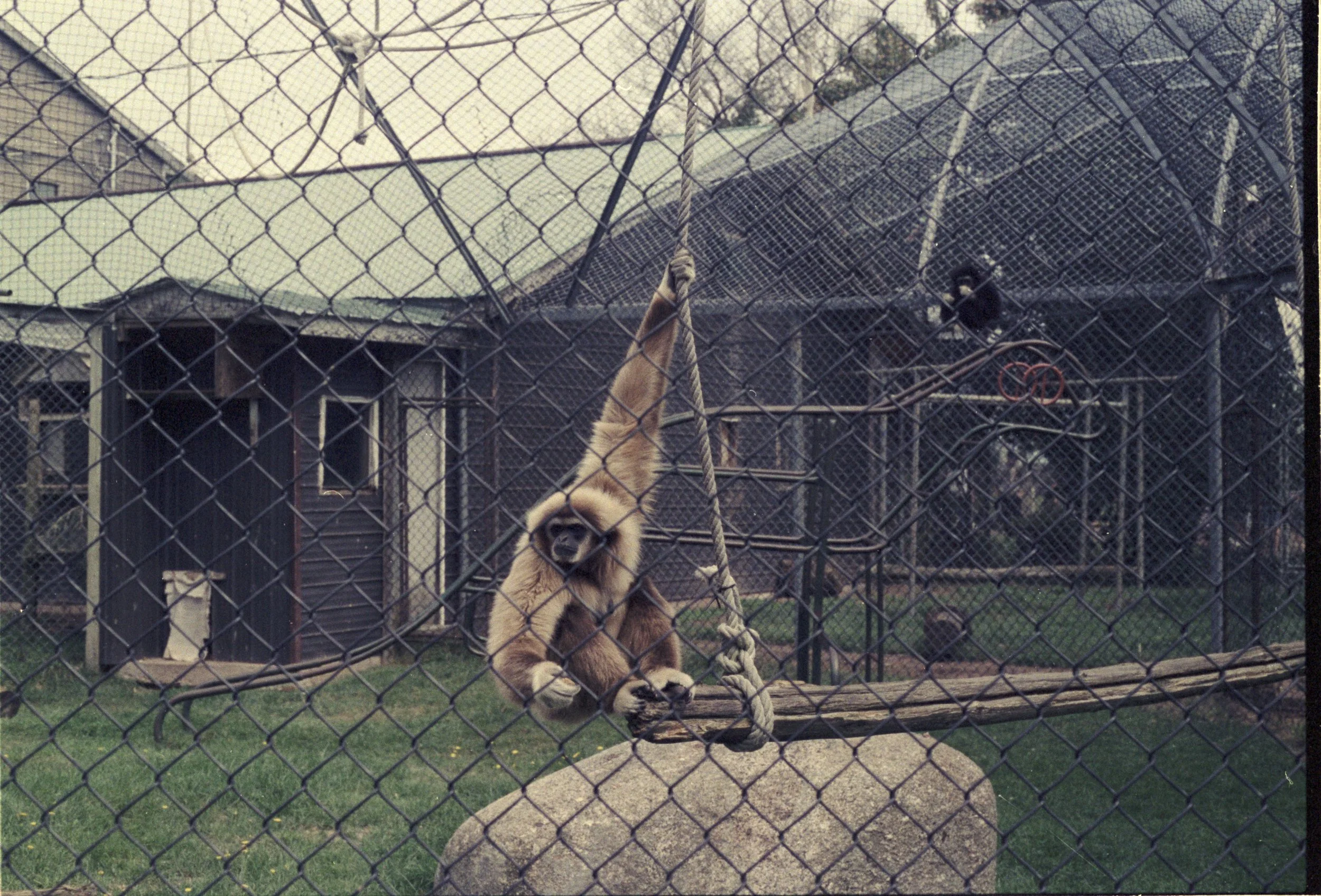 Woodlawn Zoo 23.jpg