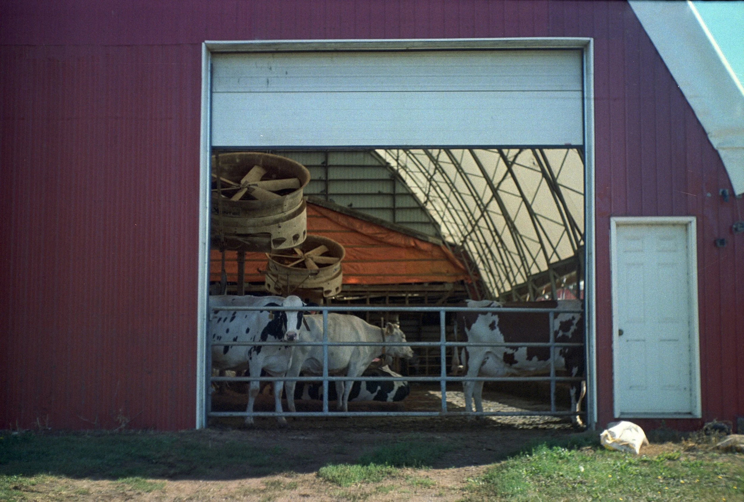 Kodak Portra 400 (33).jpg