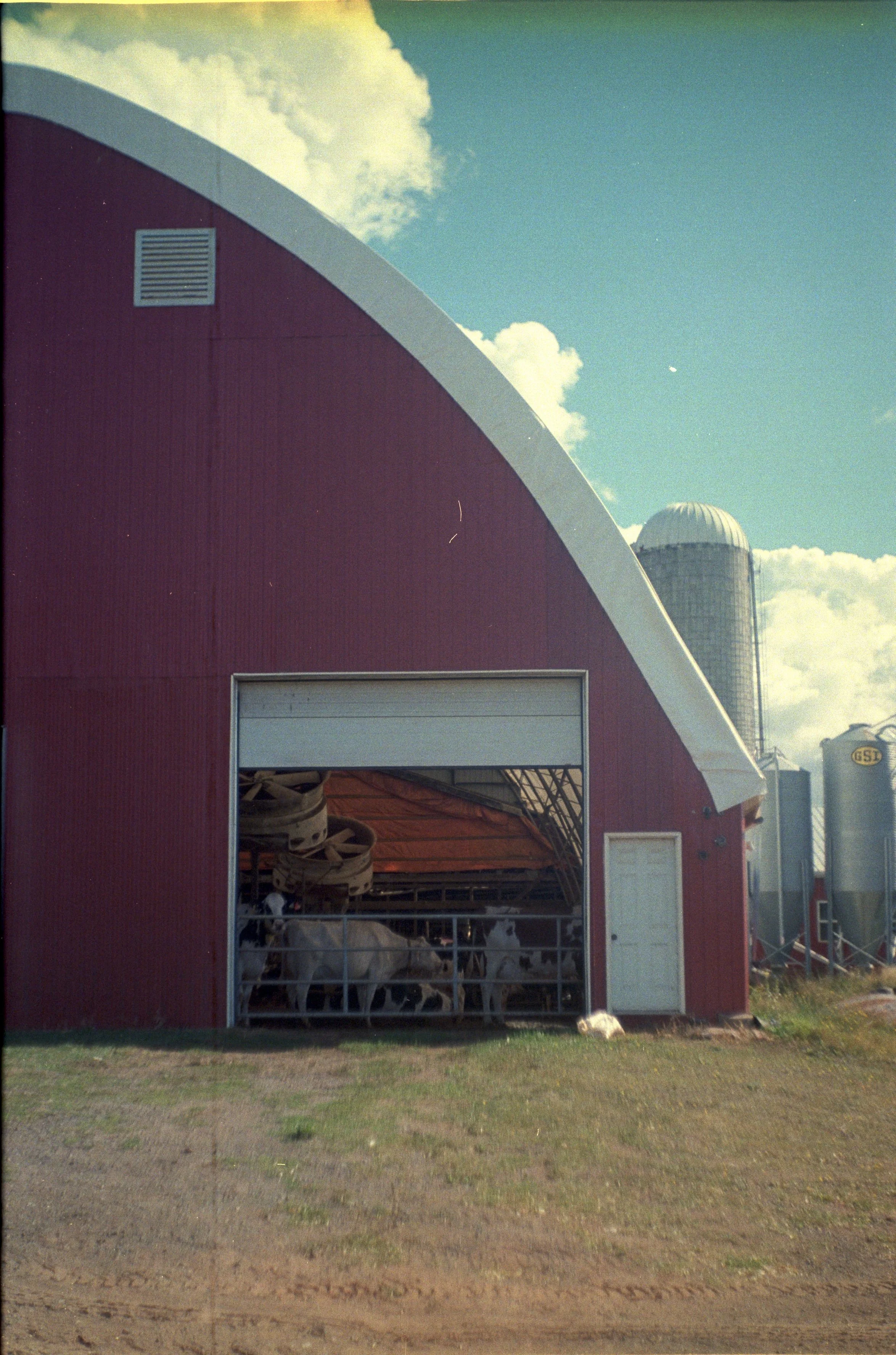 Kodak Portra 400 (30).jpg