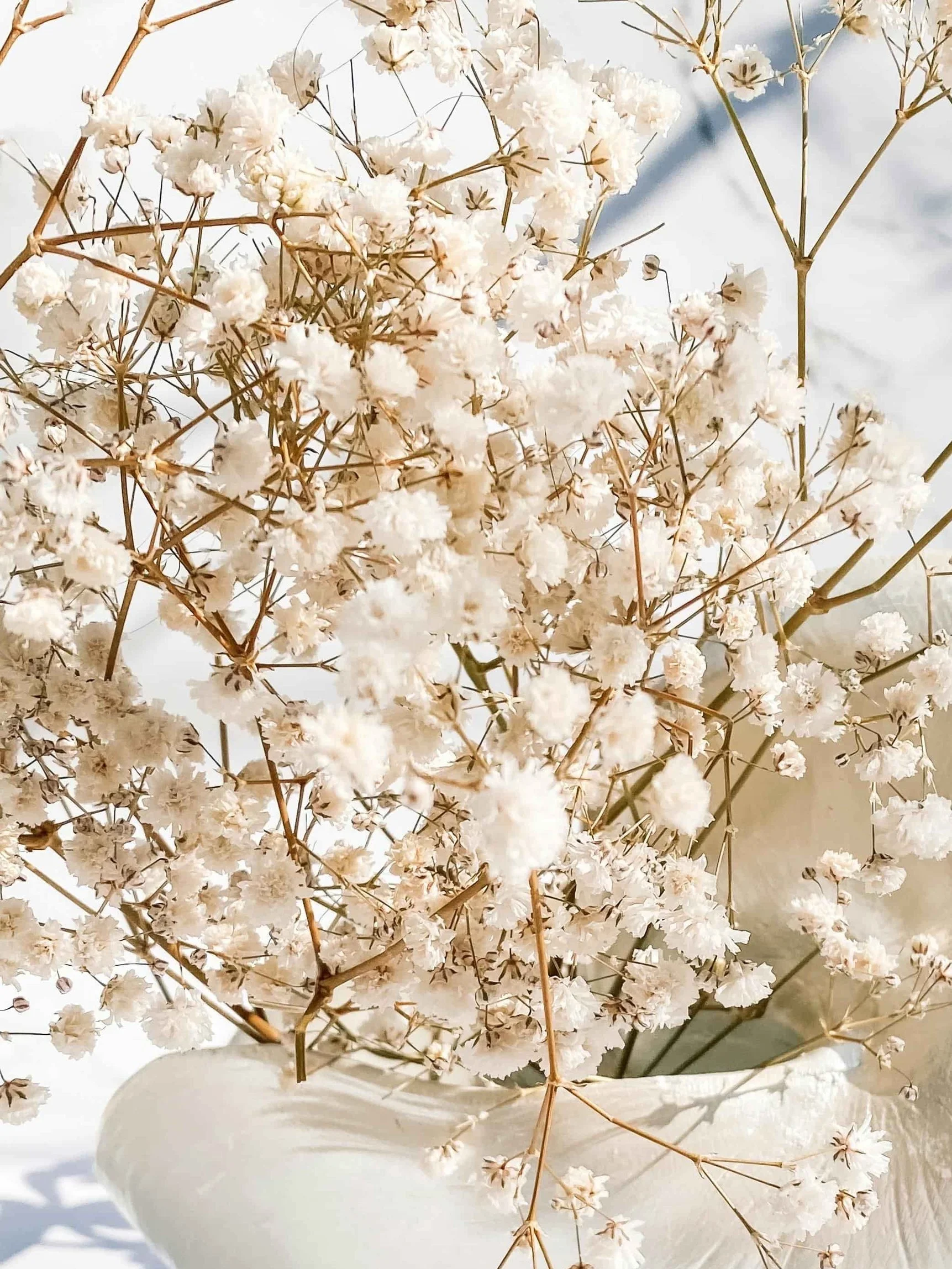 A bouquet of small white flowers in a white vase with a blurred outdoor background.