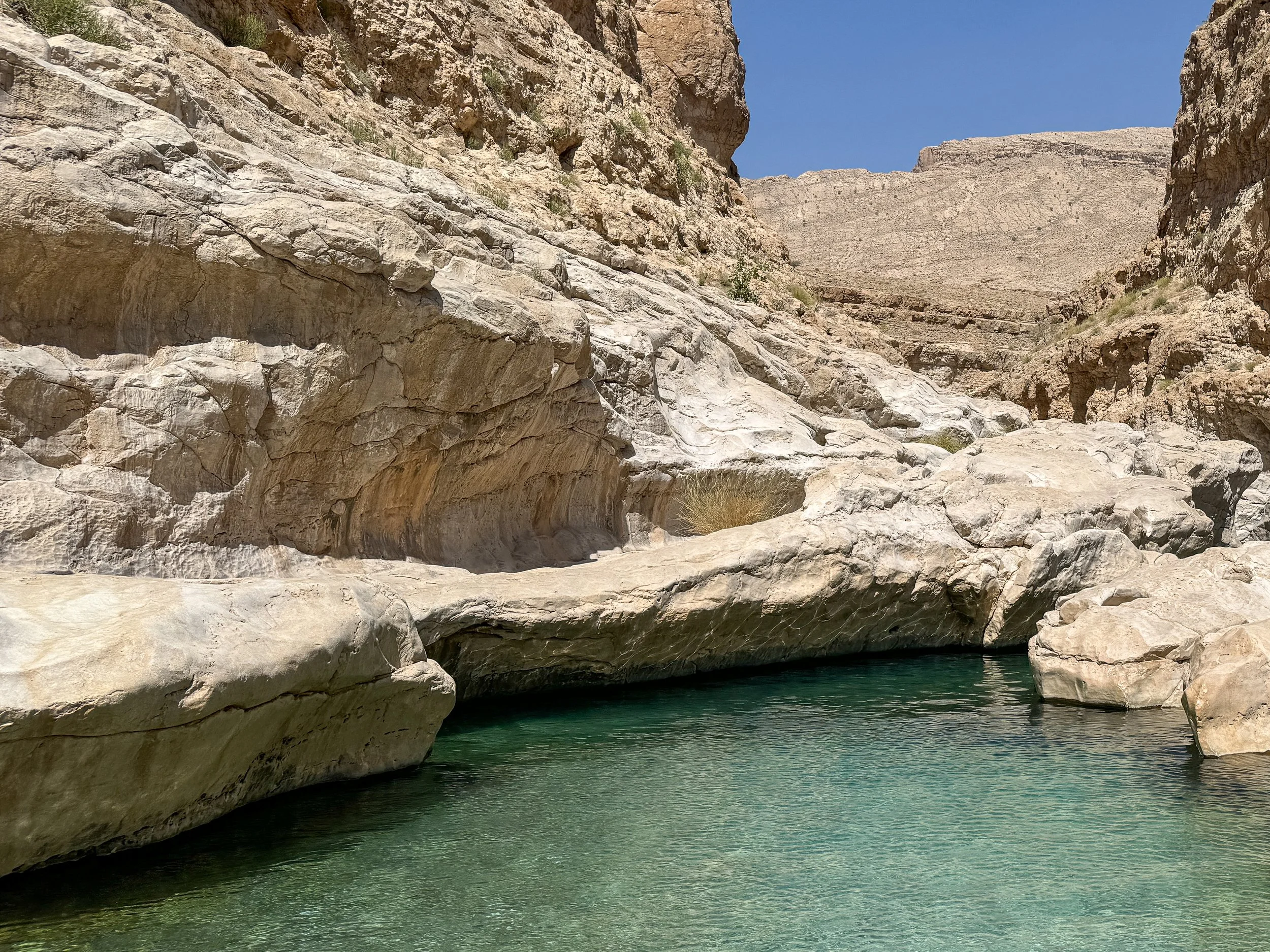 Wadi Wadi-2.jpg