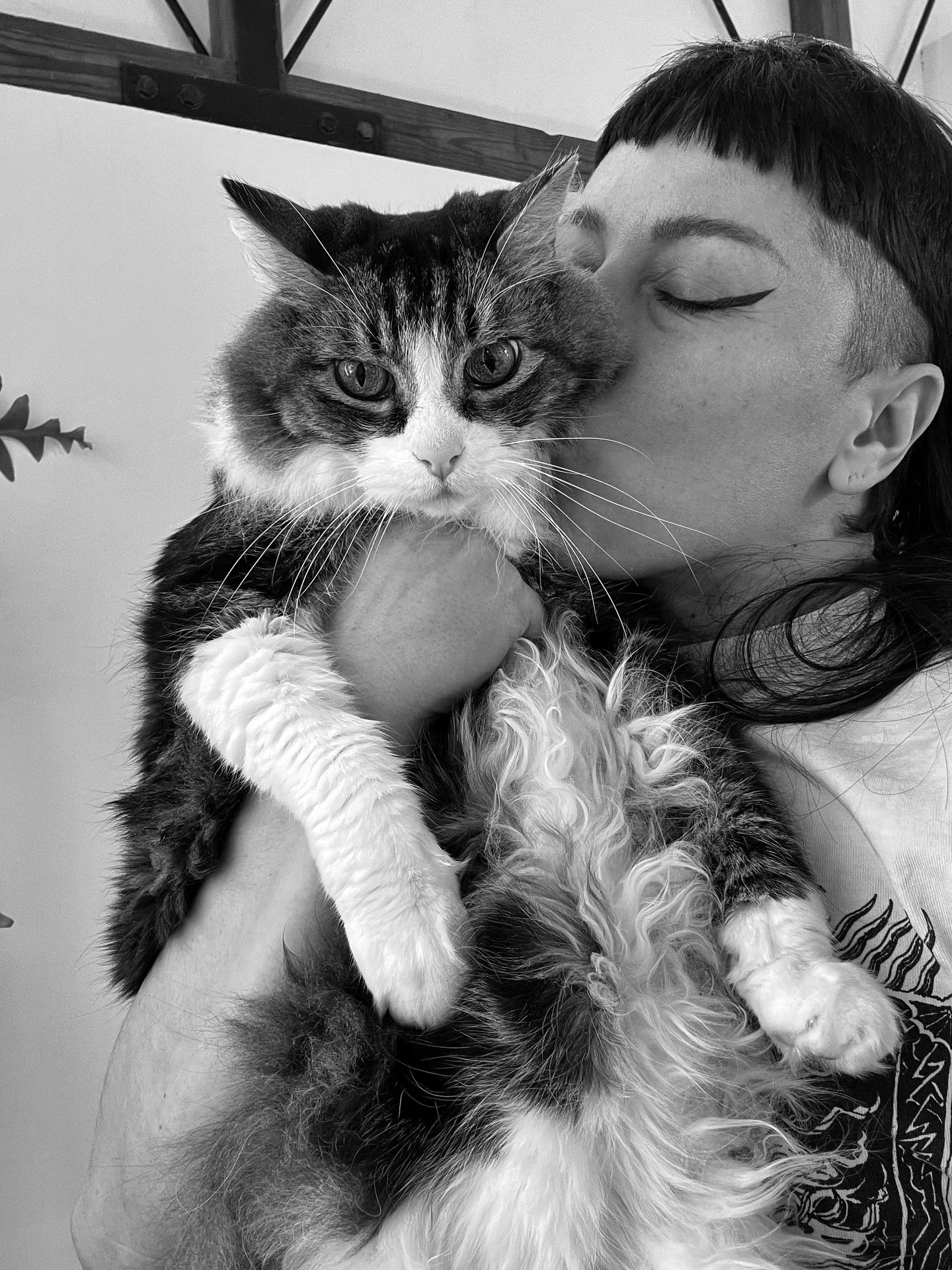 Exactly 1 year ago I lost my best friend and love of my life to a sudden and aggressive bowel cancer.

Moose, 16 years with you feels so short compared to the last 12 months without you. I love you more than anyone. I miss you every single day and I&