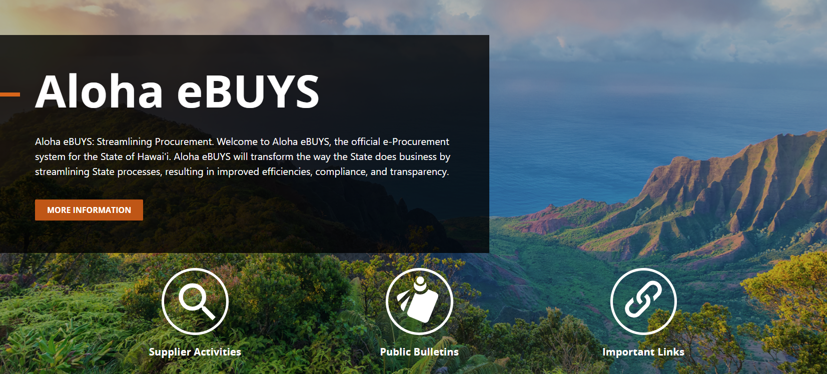 Screenshot of Aloha eBUYS website