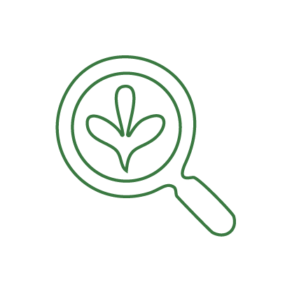 Green outline of a magnifying glass with a leaf inside