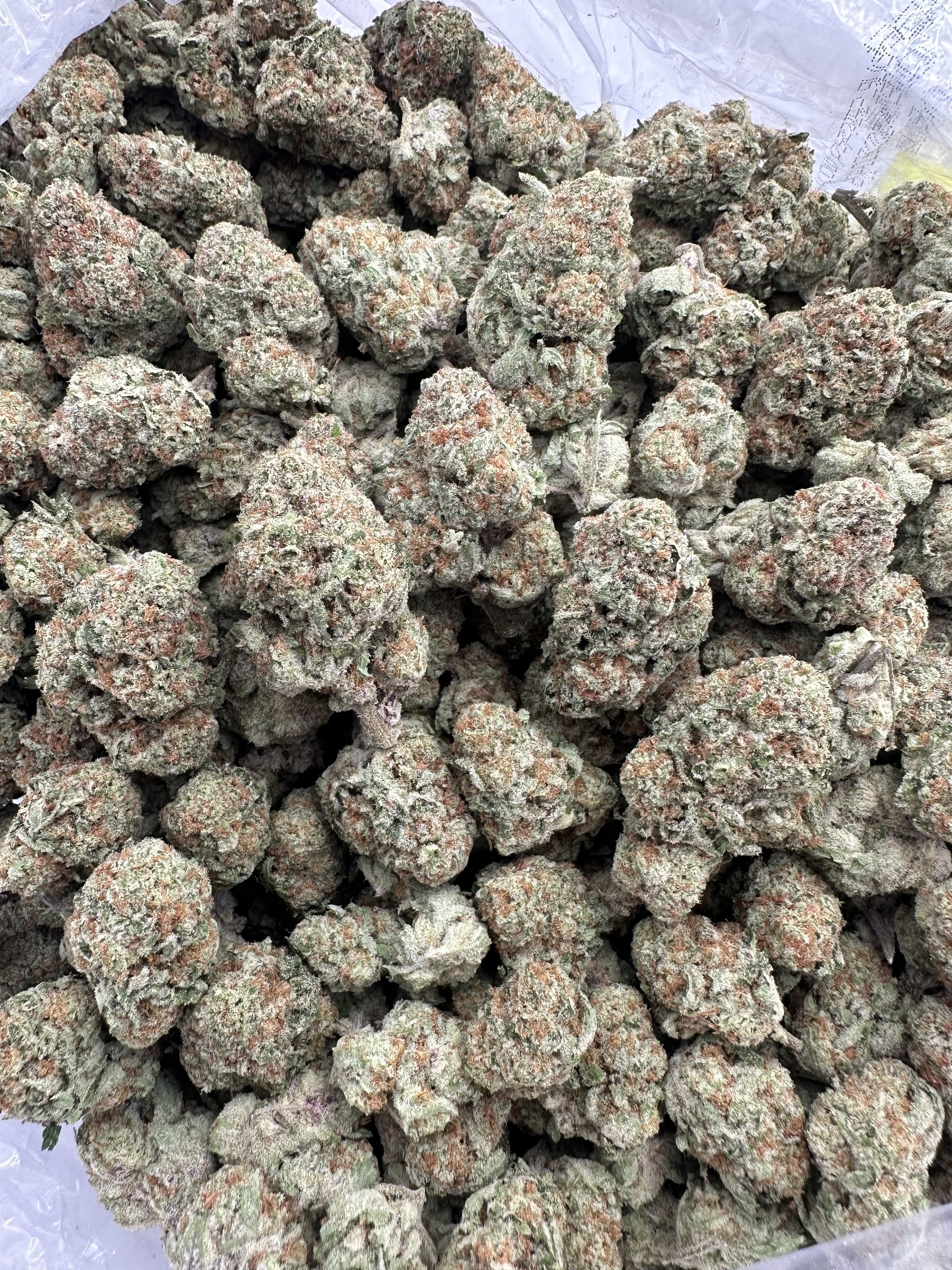 COLOMBIAN-GOLD-THCA-FLOWER-1-rotated.jpeg