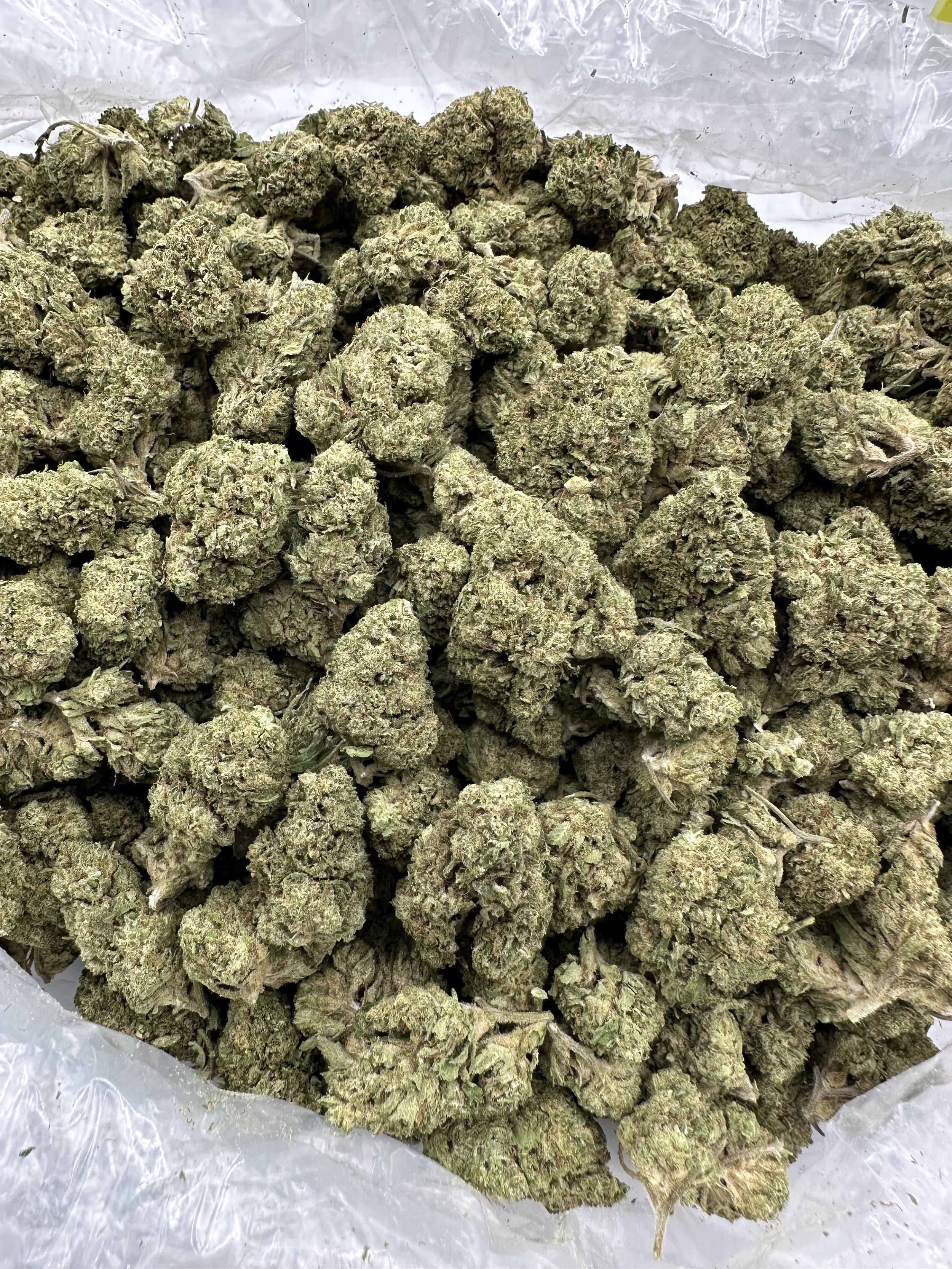 WONDERBREAD-THCA-FLOWER-rotated.jpeg