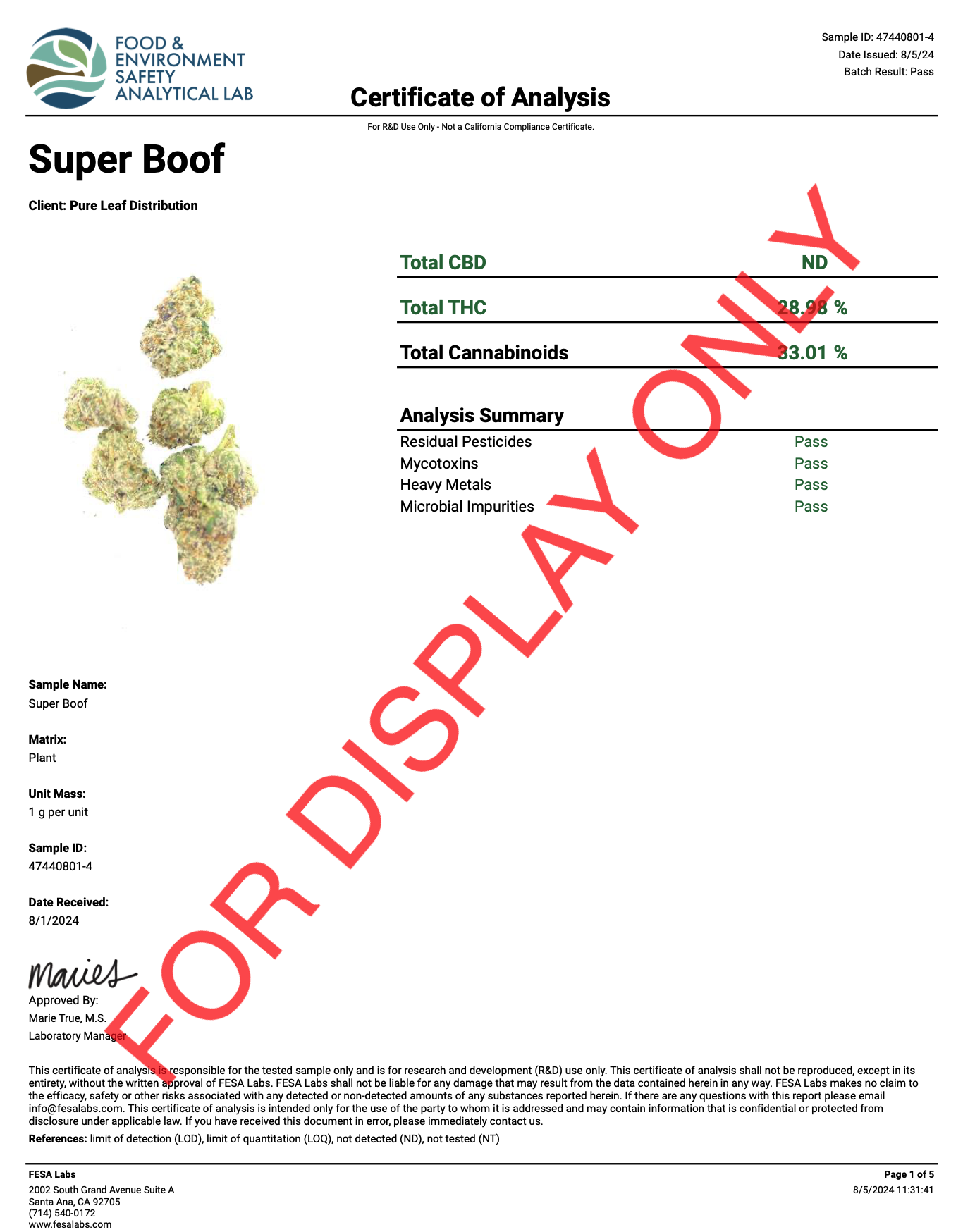 SUPER-BOOF-COA.png