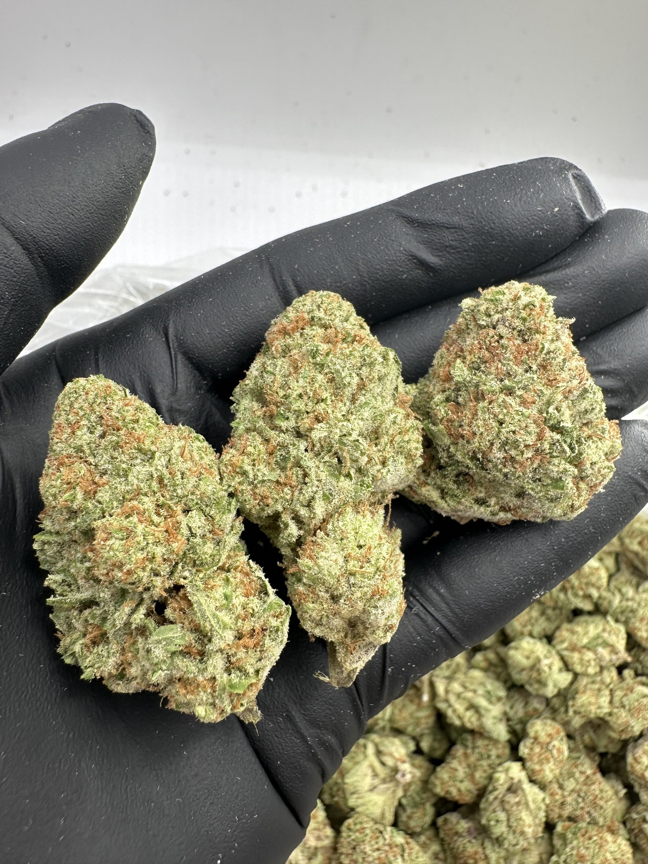 COLOMBIAN GOLD