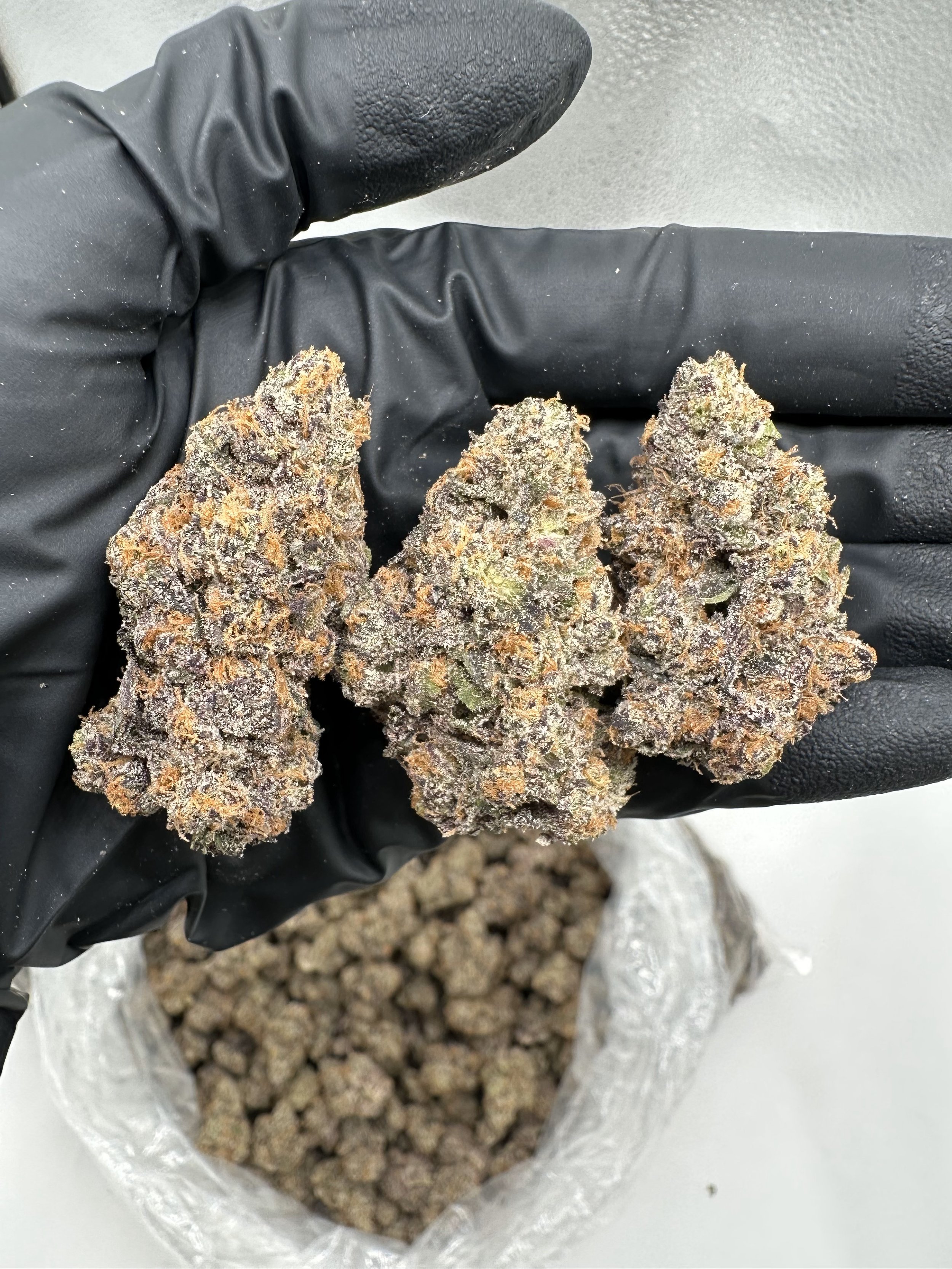 PURPLE CERTZ