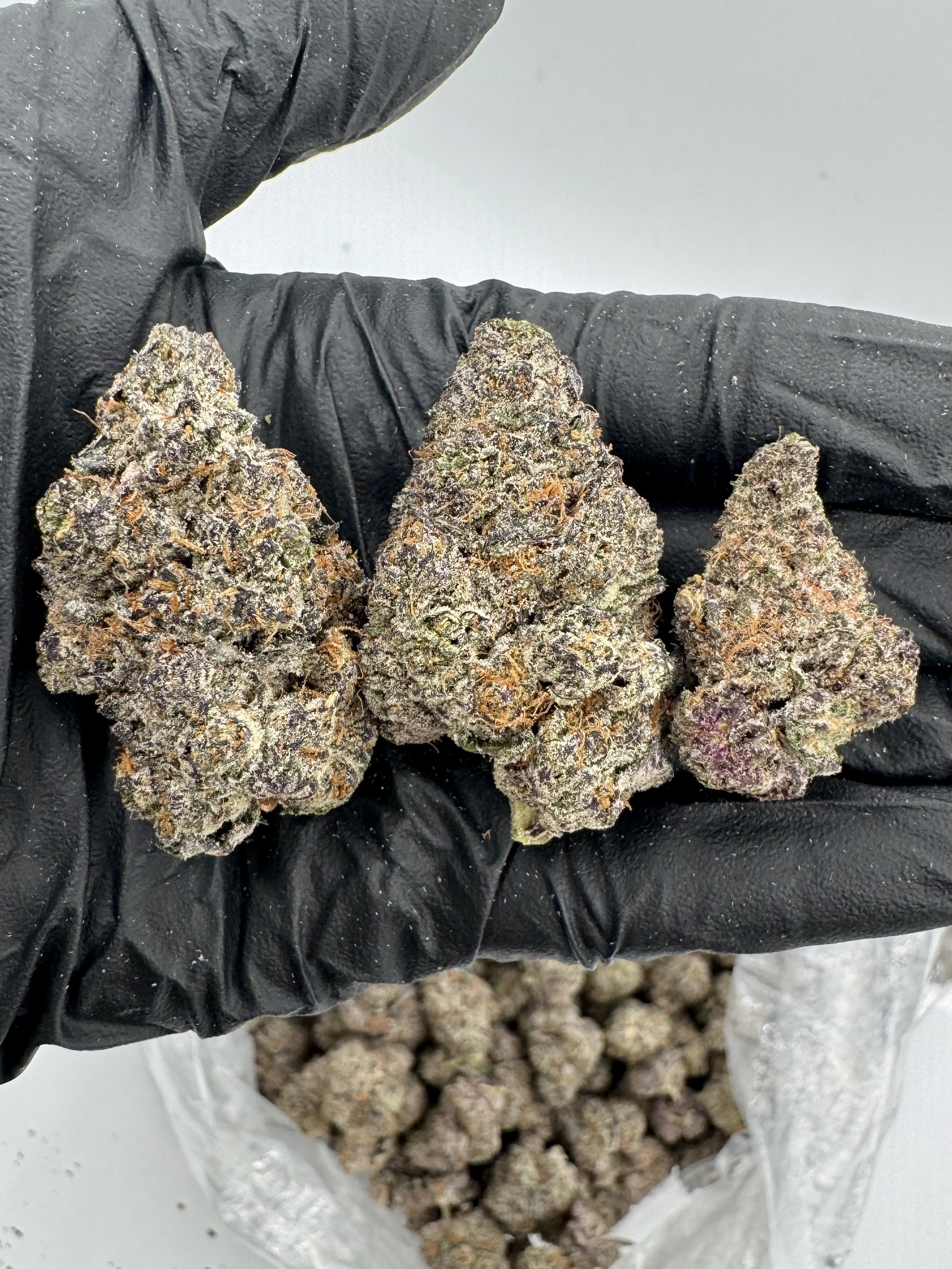 BLIZZARD BERRY