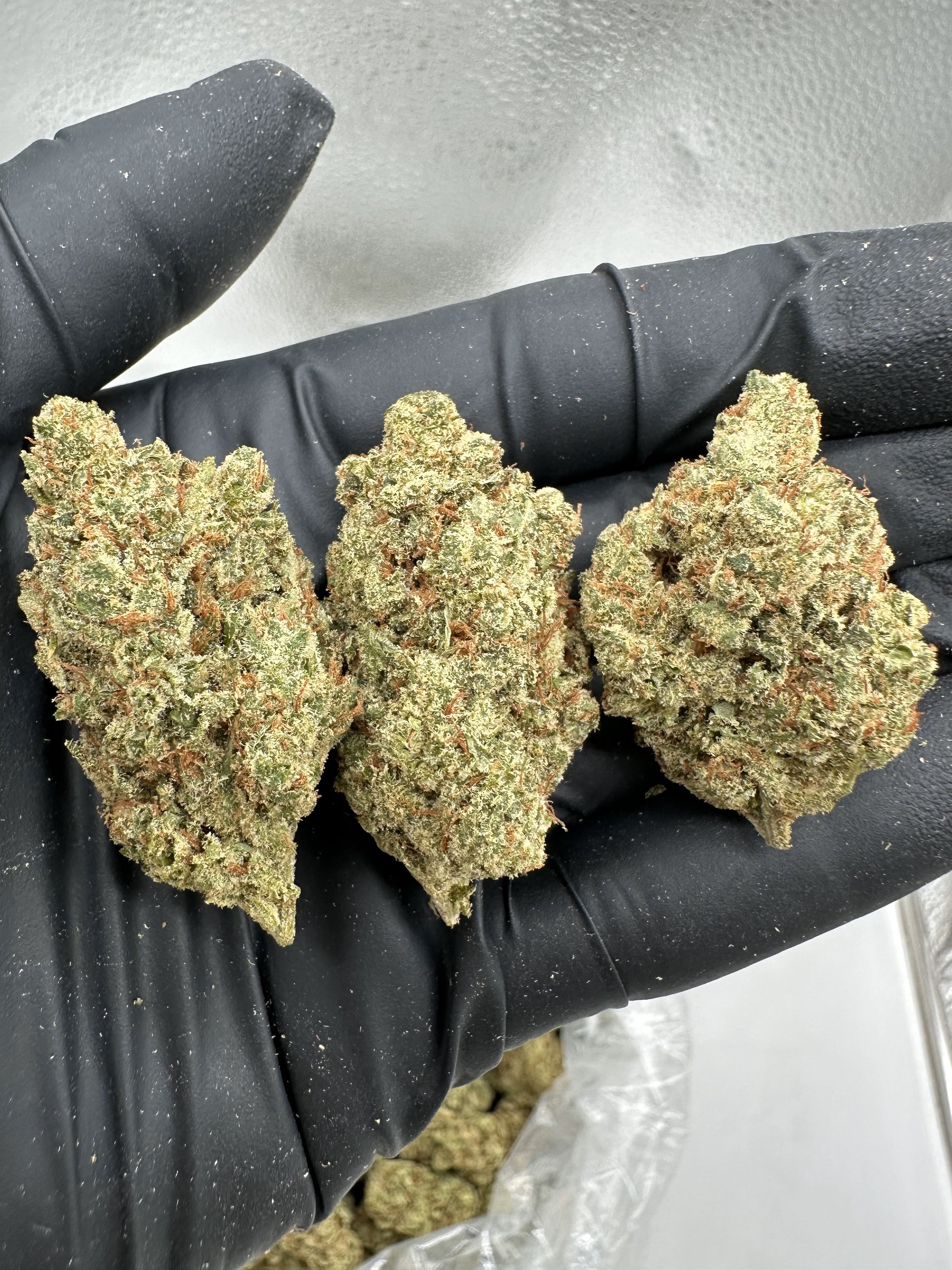 TANGIE