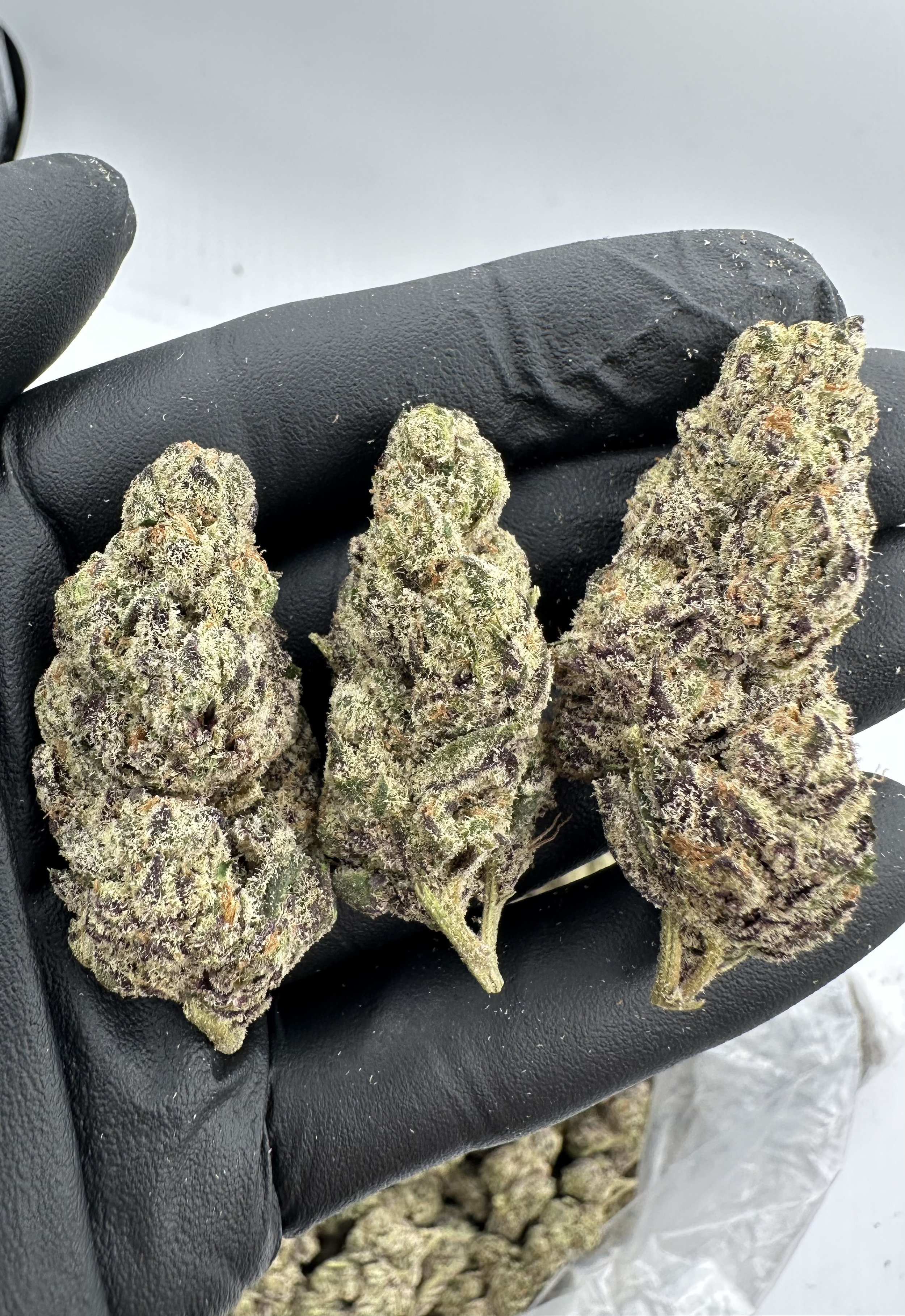 PURPLE DREAM