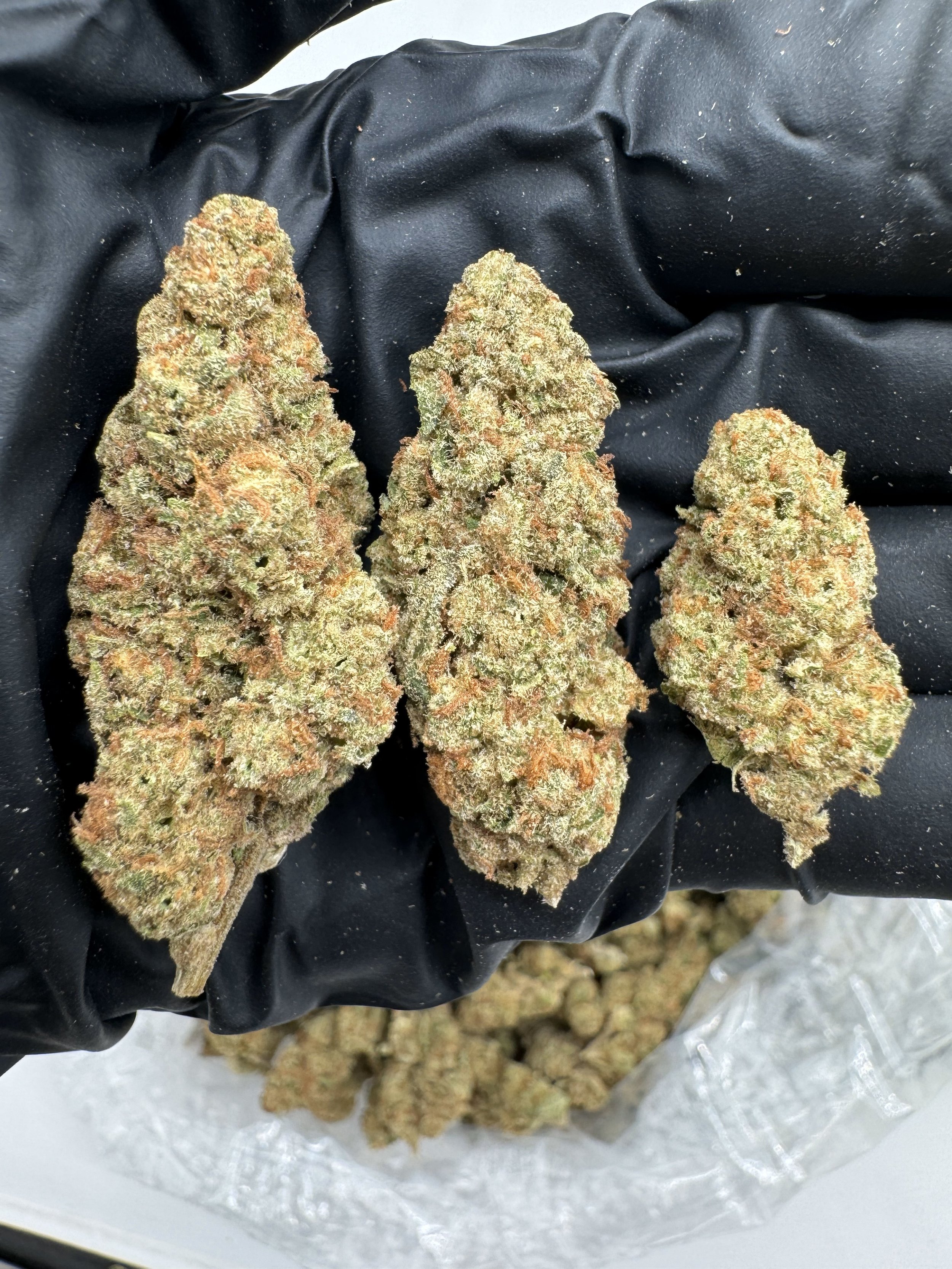 SUGAR TARTZ