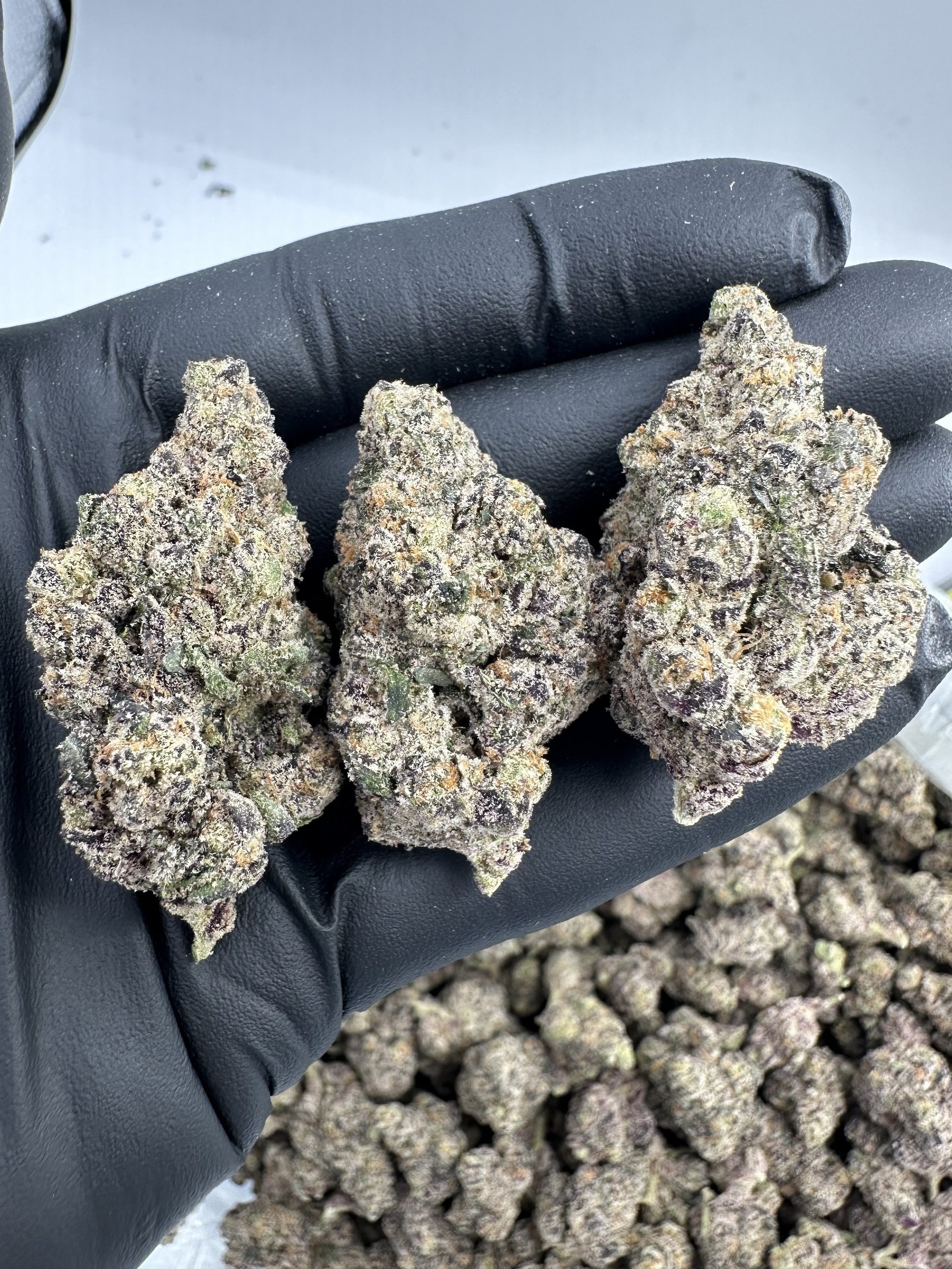 PURPLE PANTY DROPPER
