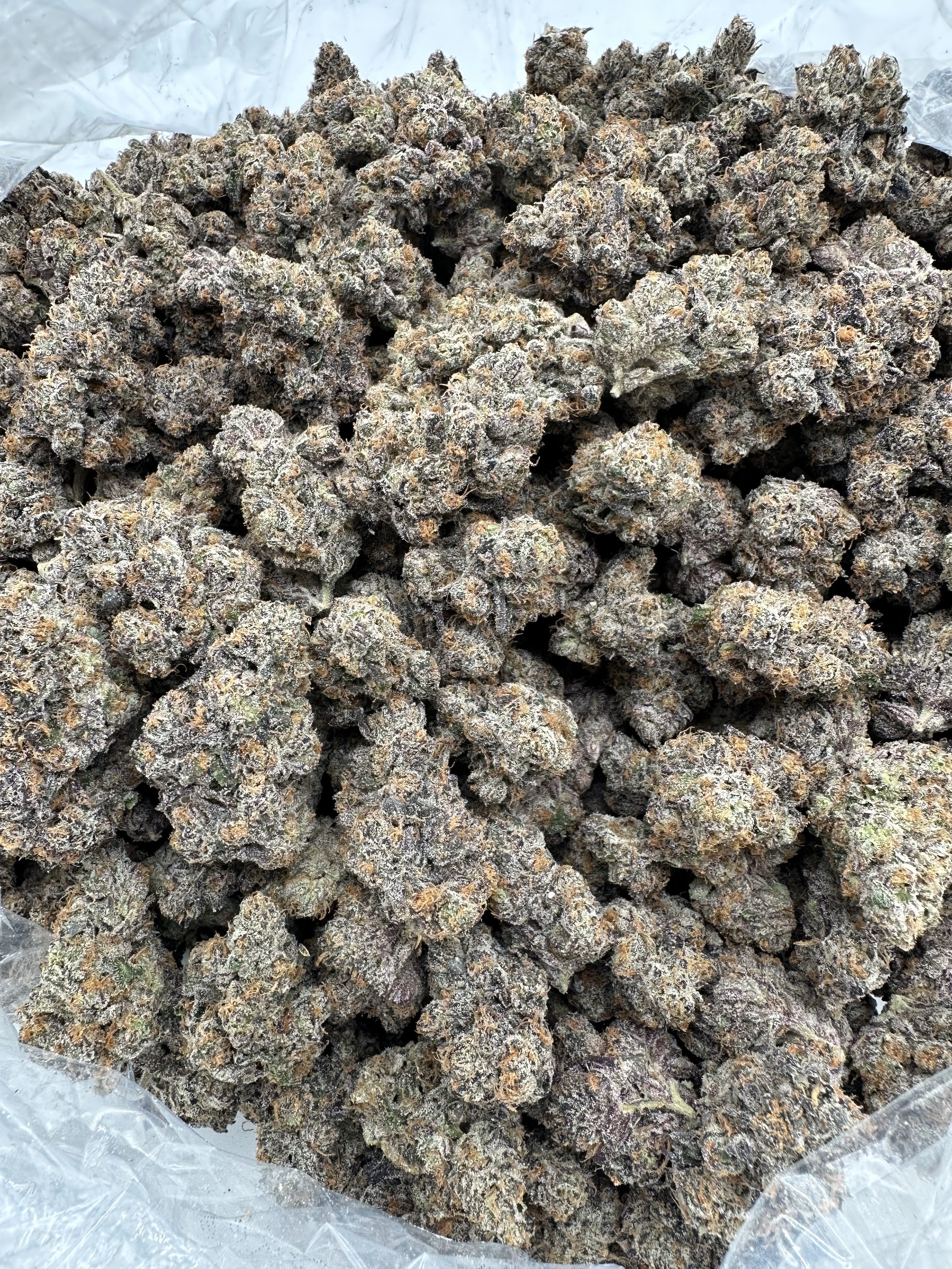 Purple-Certz-2.jpeg