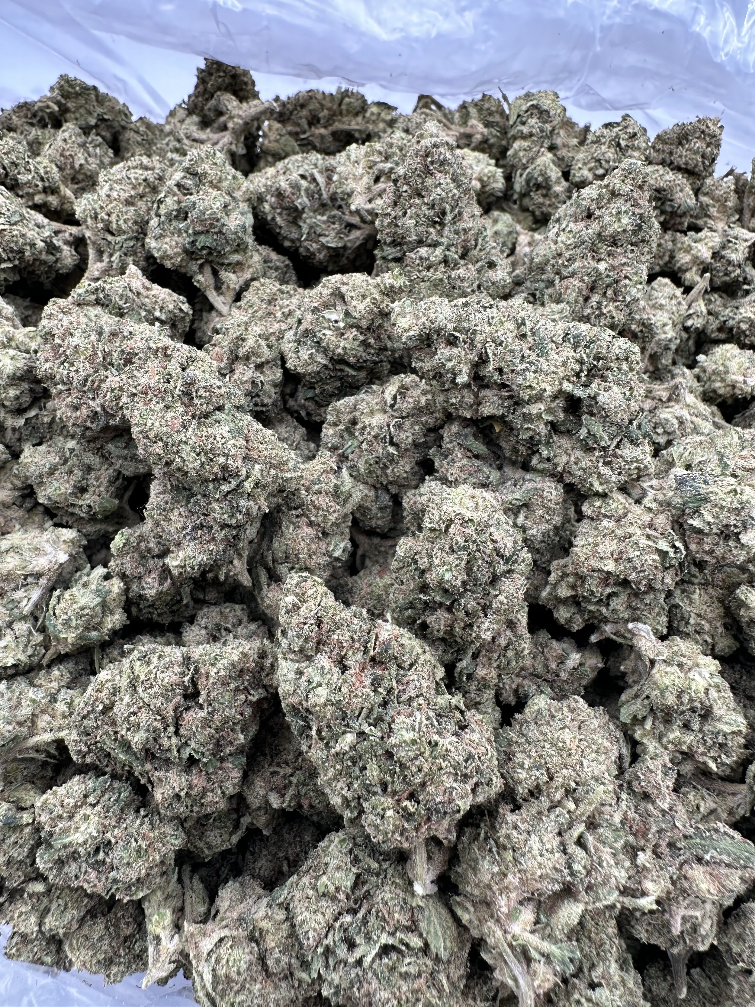 KEYLIME-JACK-FLOWER-THCA-rotated.jpeg