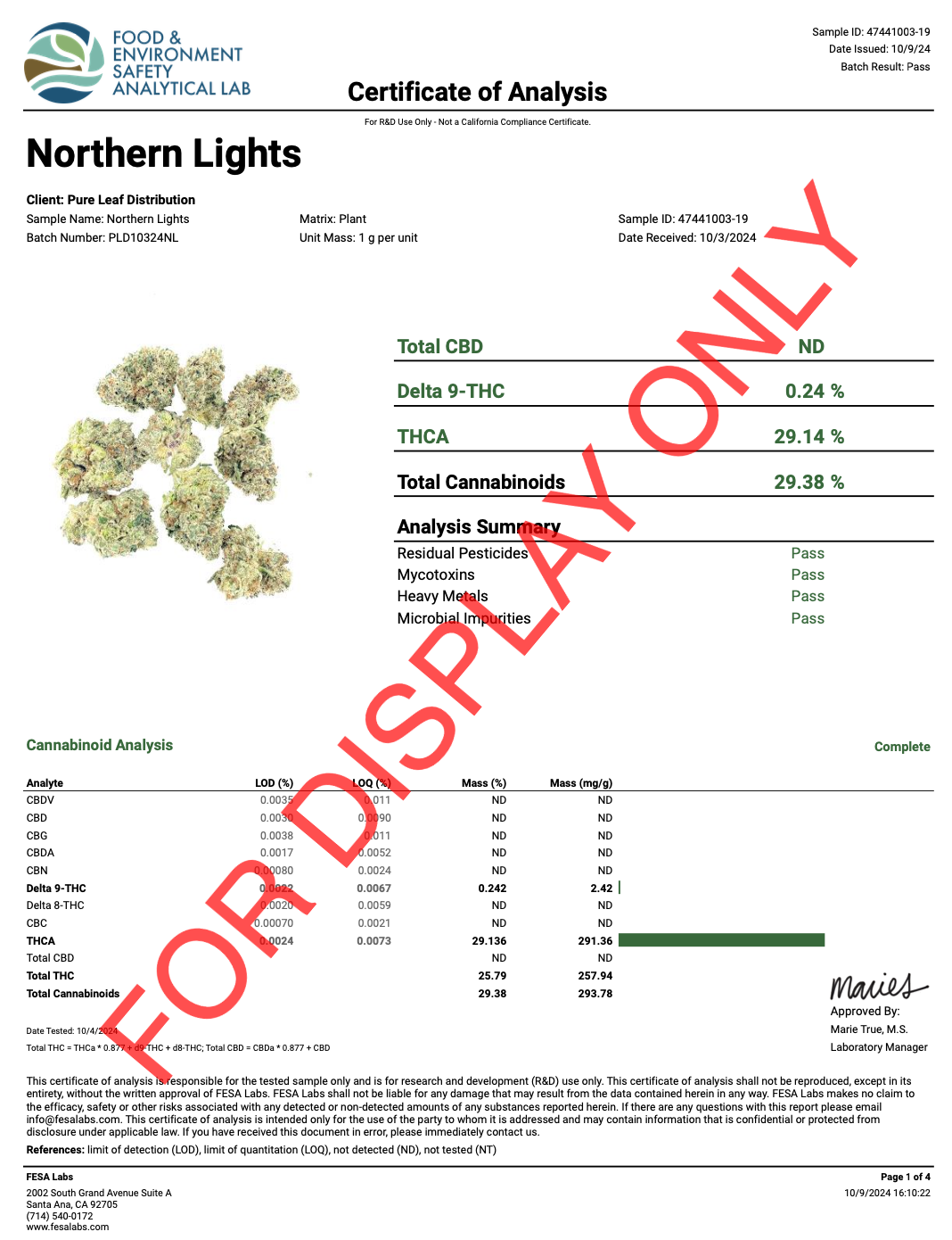 NORTHERN-LIGHTS-COA.png