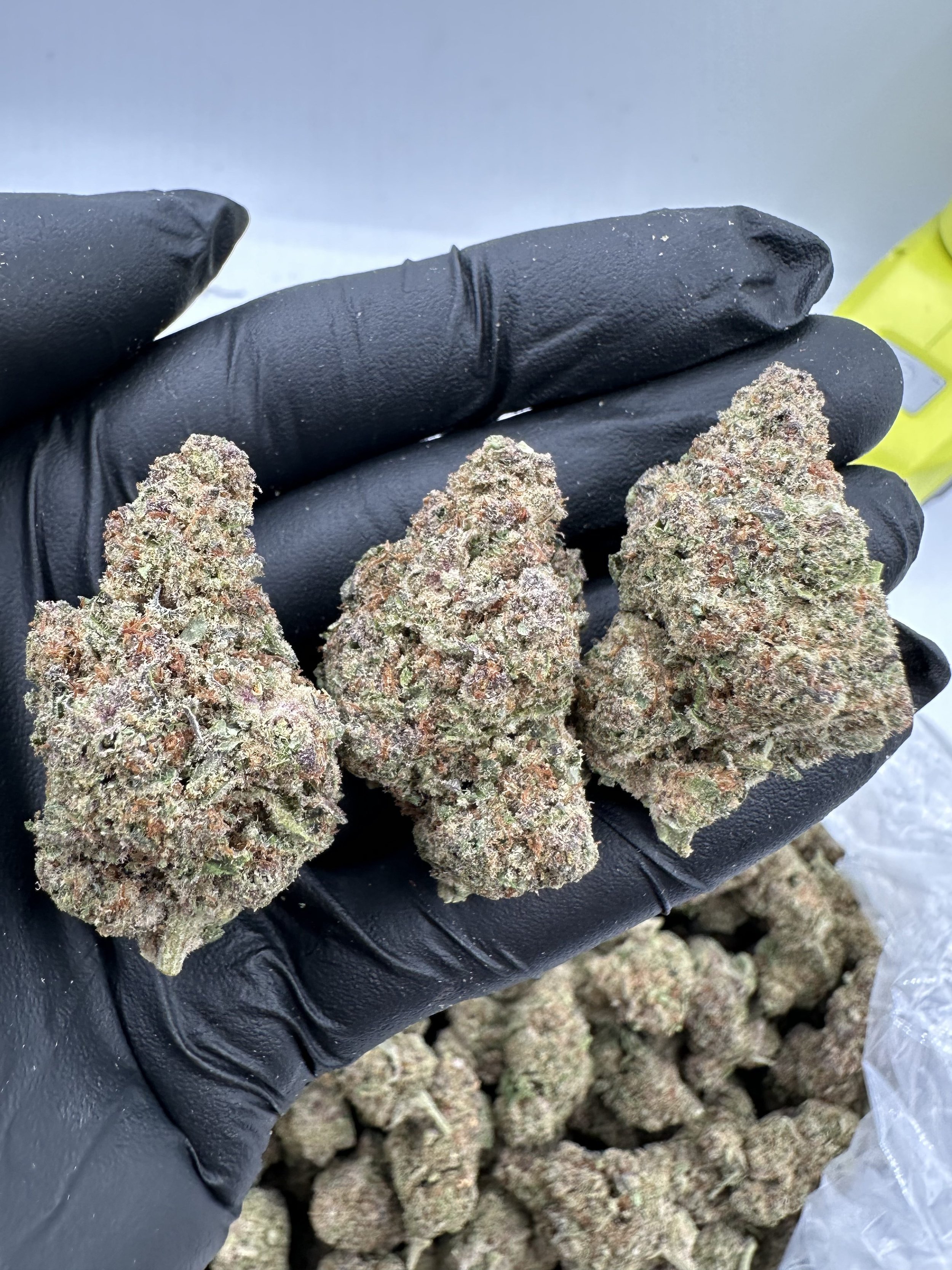 GRAPE GAS