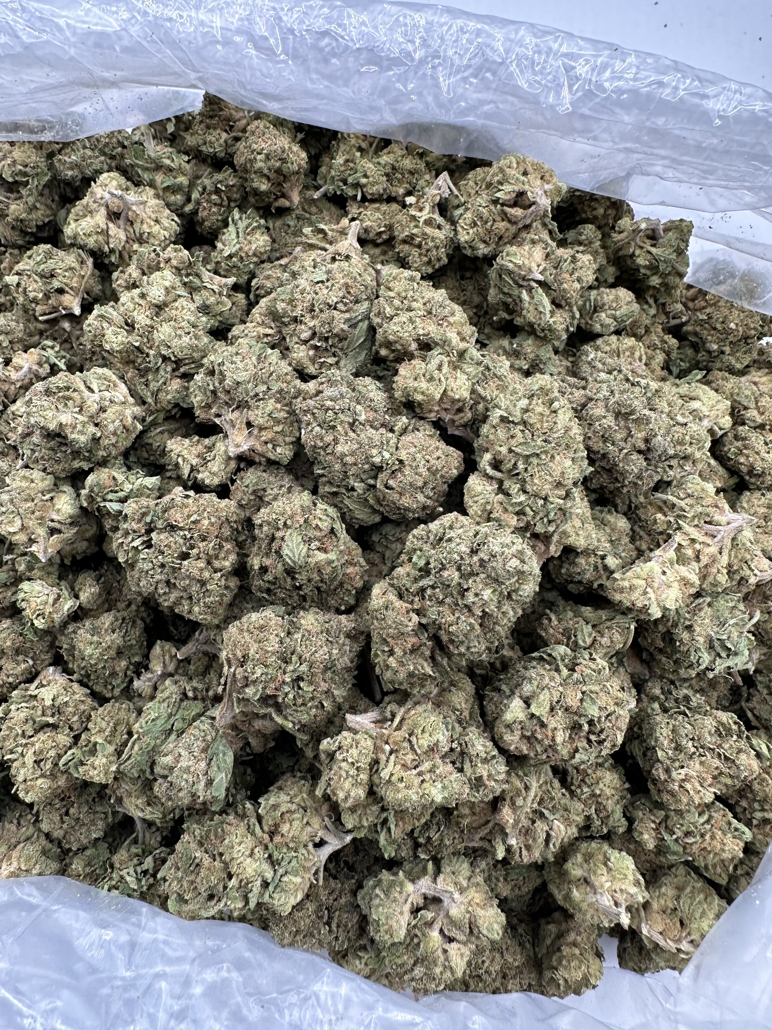 JOKERZ-CANDY-THCA-FLOWER-1-rotated.jpeg