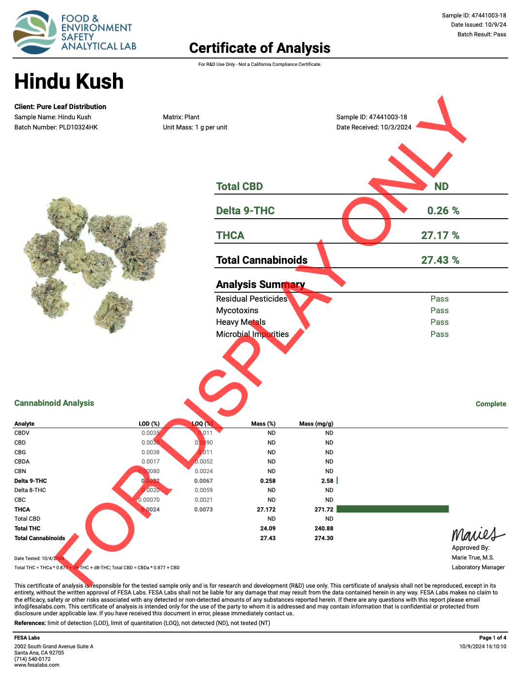HINDU-KUSH-COA.png