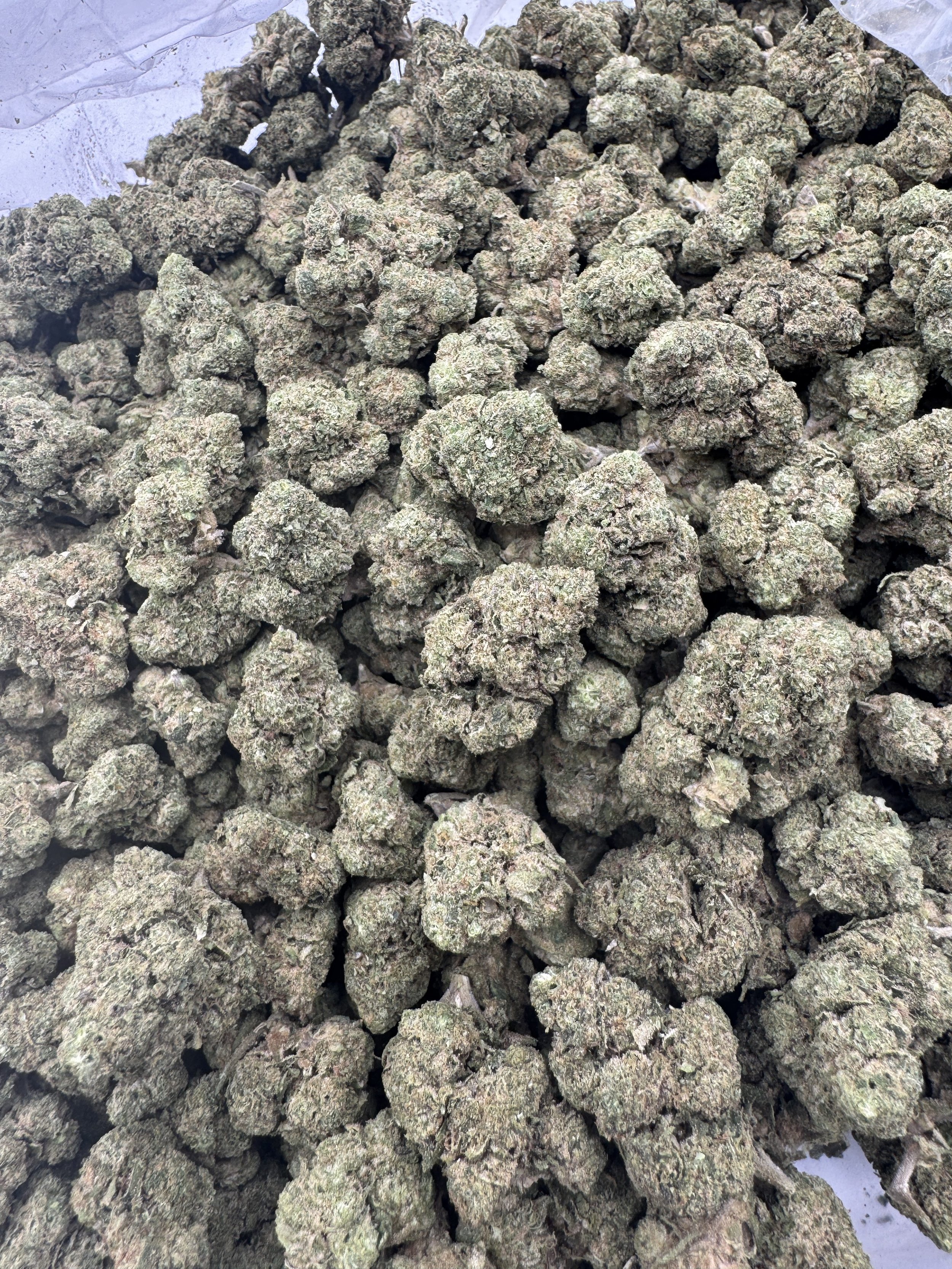 CADILLAC-RAINBOW-FLOWER-THCA-1-rotated.jpeg