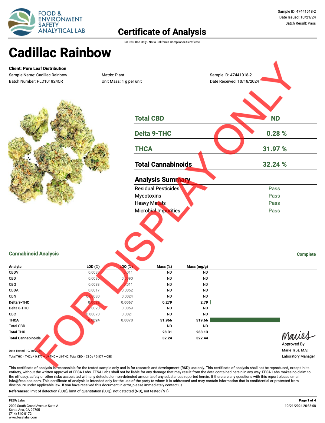 CADILLAC-RAINBOW-COA.png
