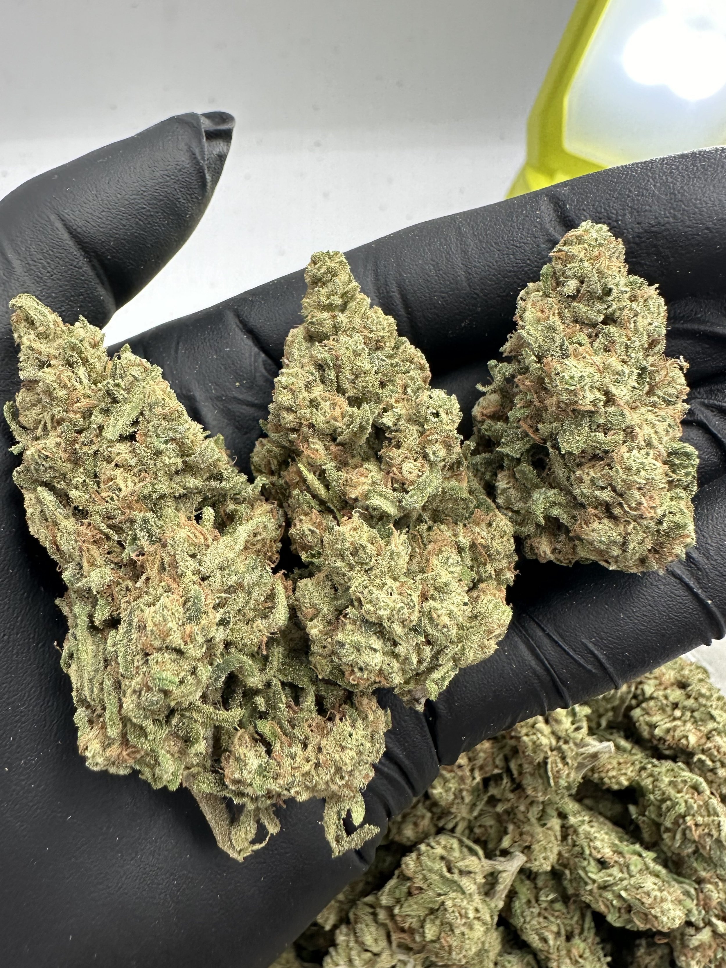 SUPER LEMON HAZE