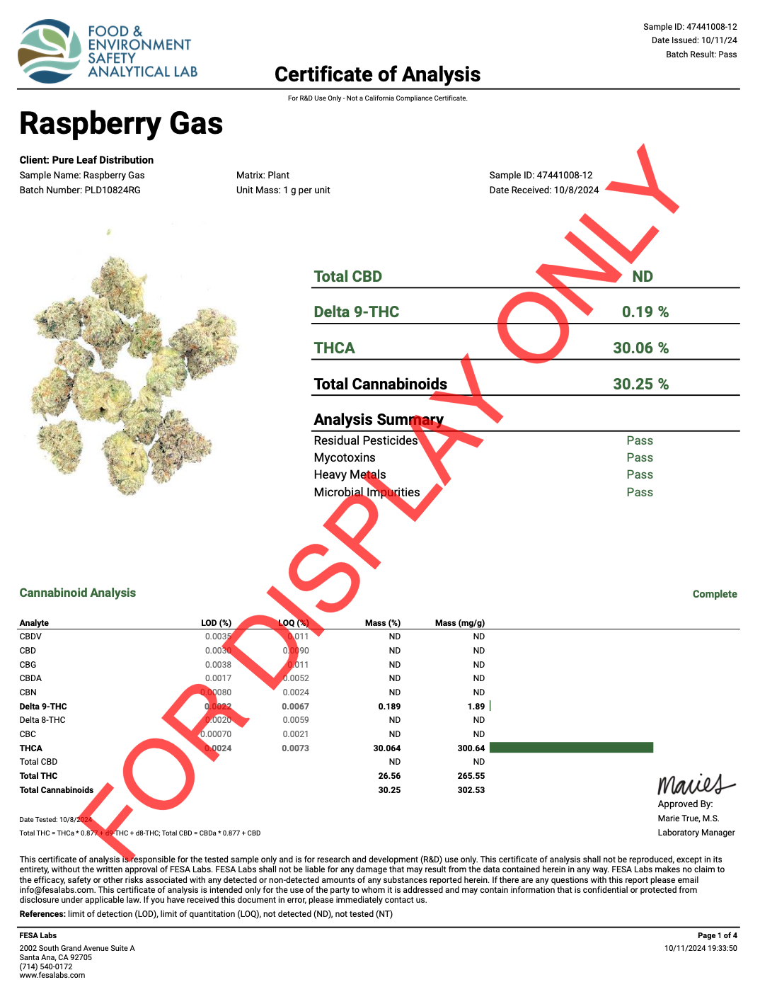 RASPBERRY-GAS-COA.png
