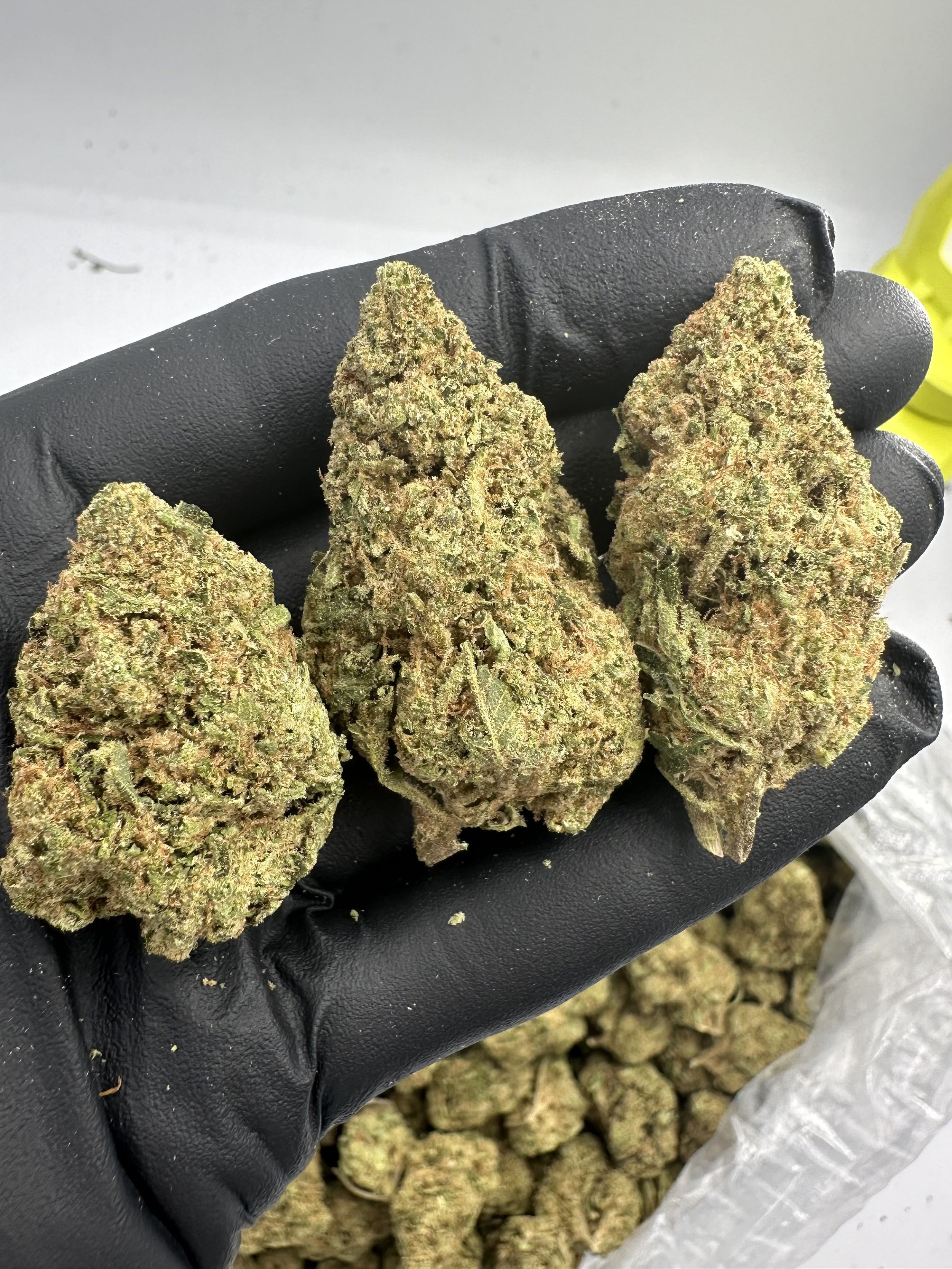 GREEN CRACK