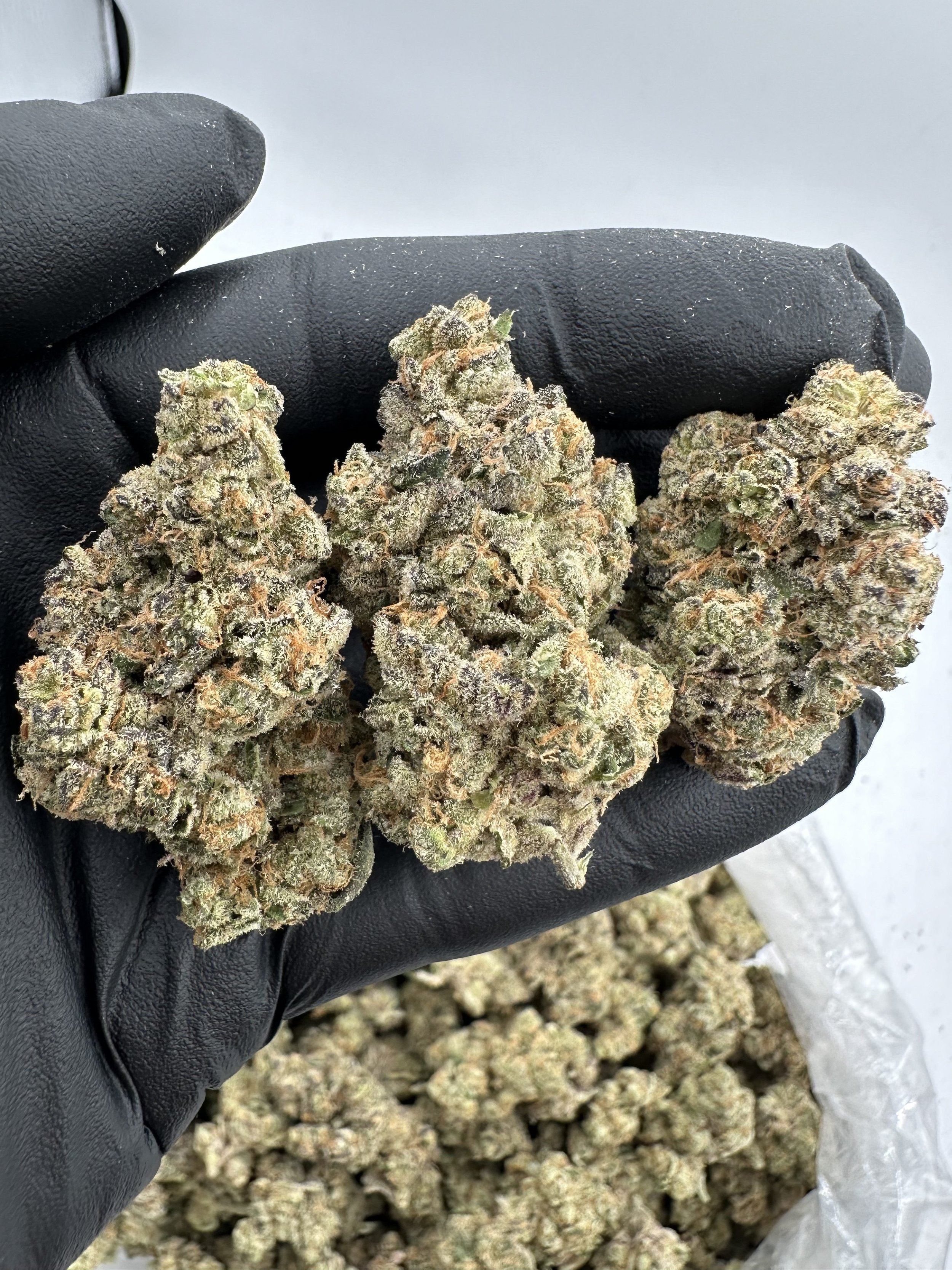 HINDU KUSH