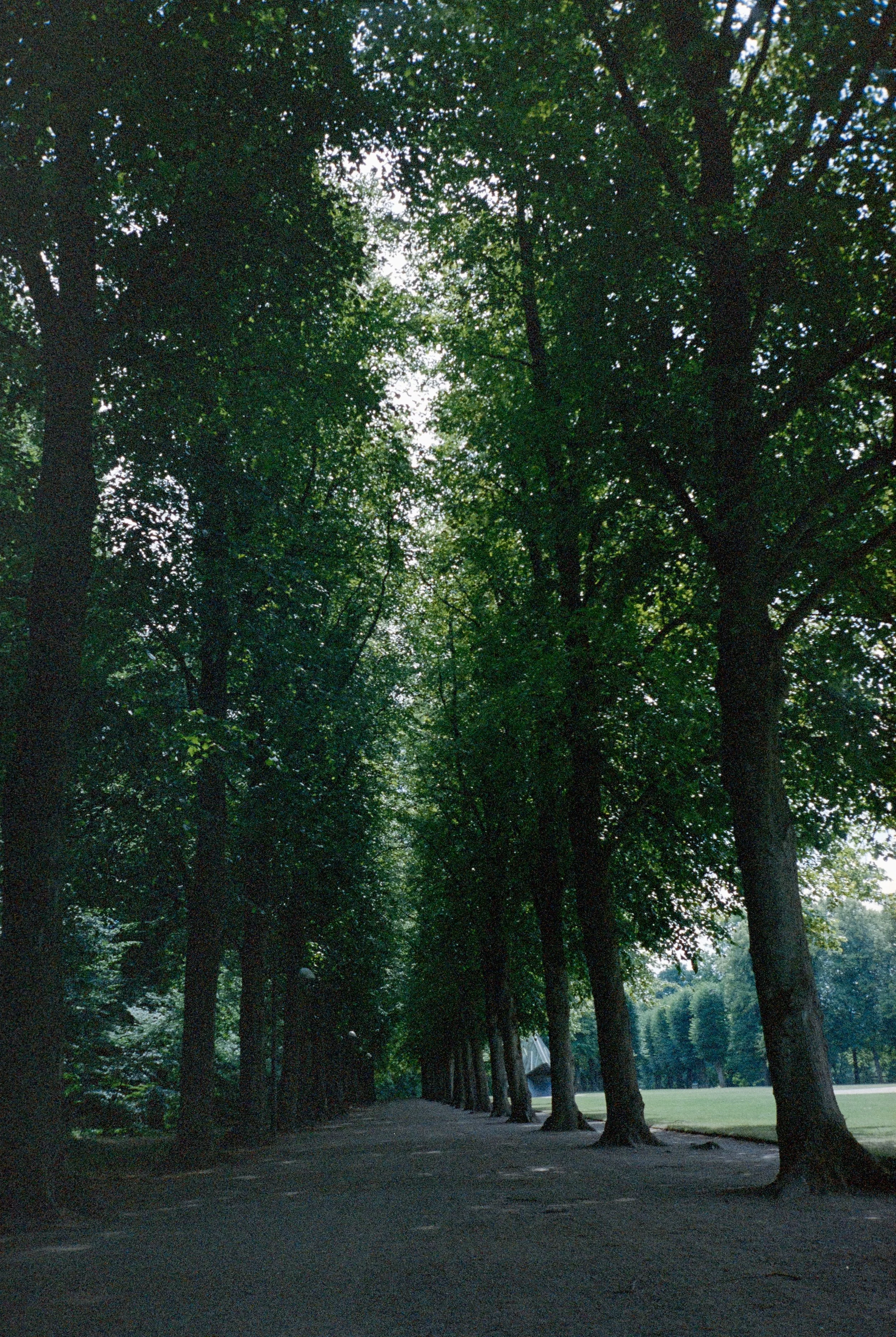 PORTRA 400 (22 of 36).jpg