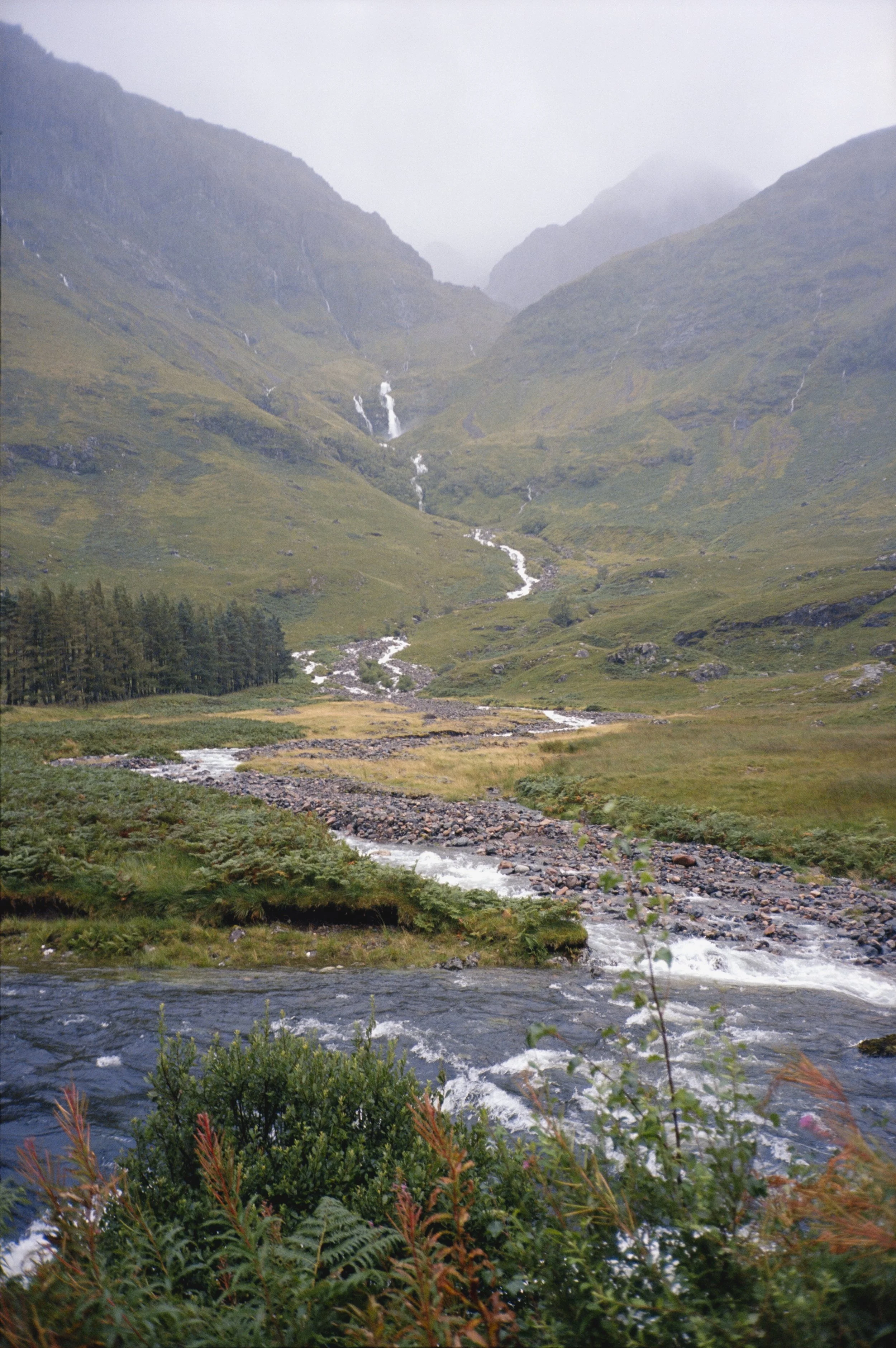 EKTAR 100 (33 of 35).jpeg