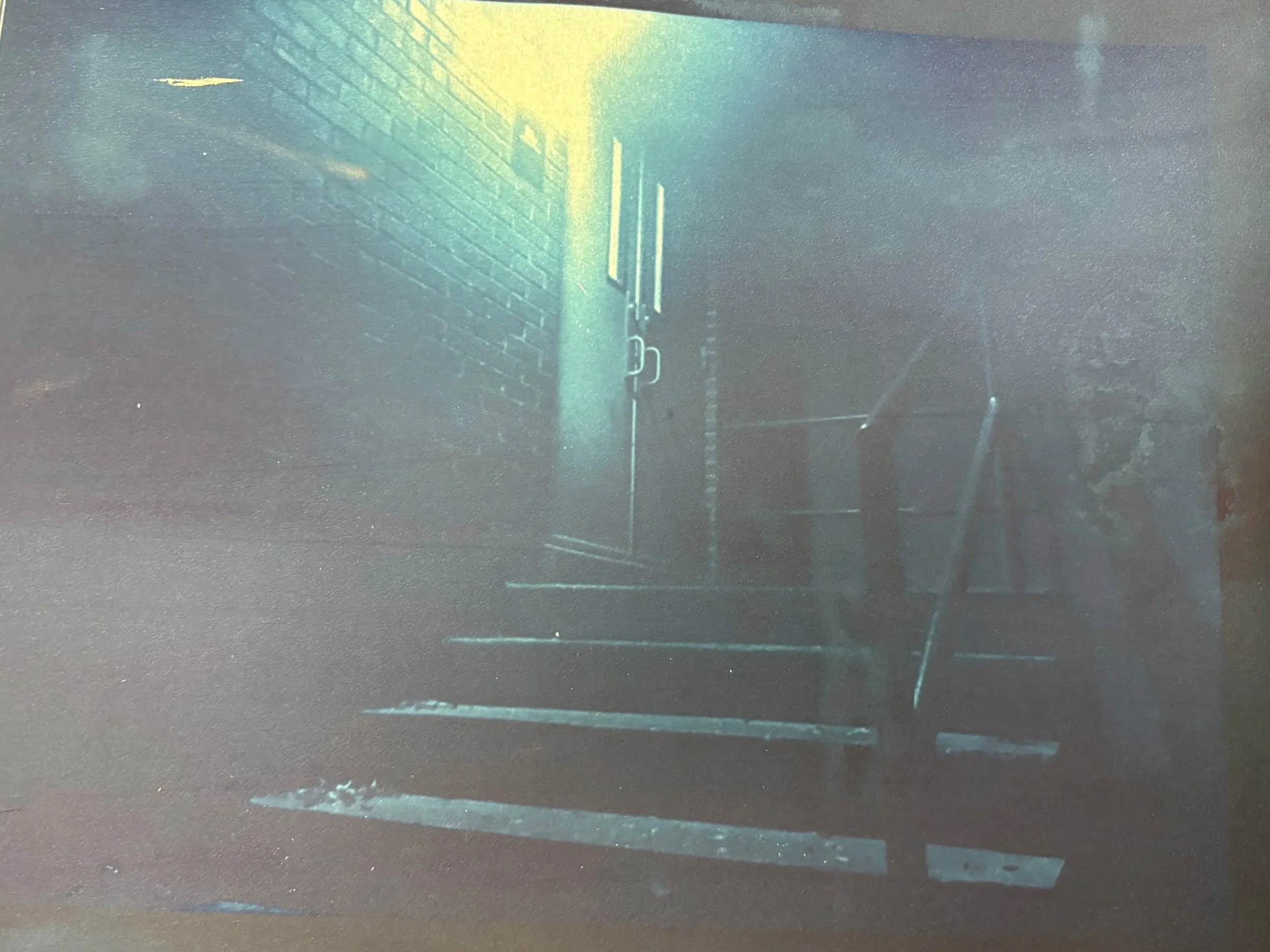 Liminal Entrance | Cyanotype Photography | 16x12 | 2025