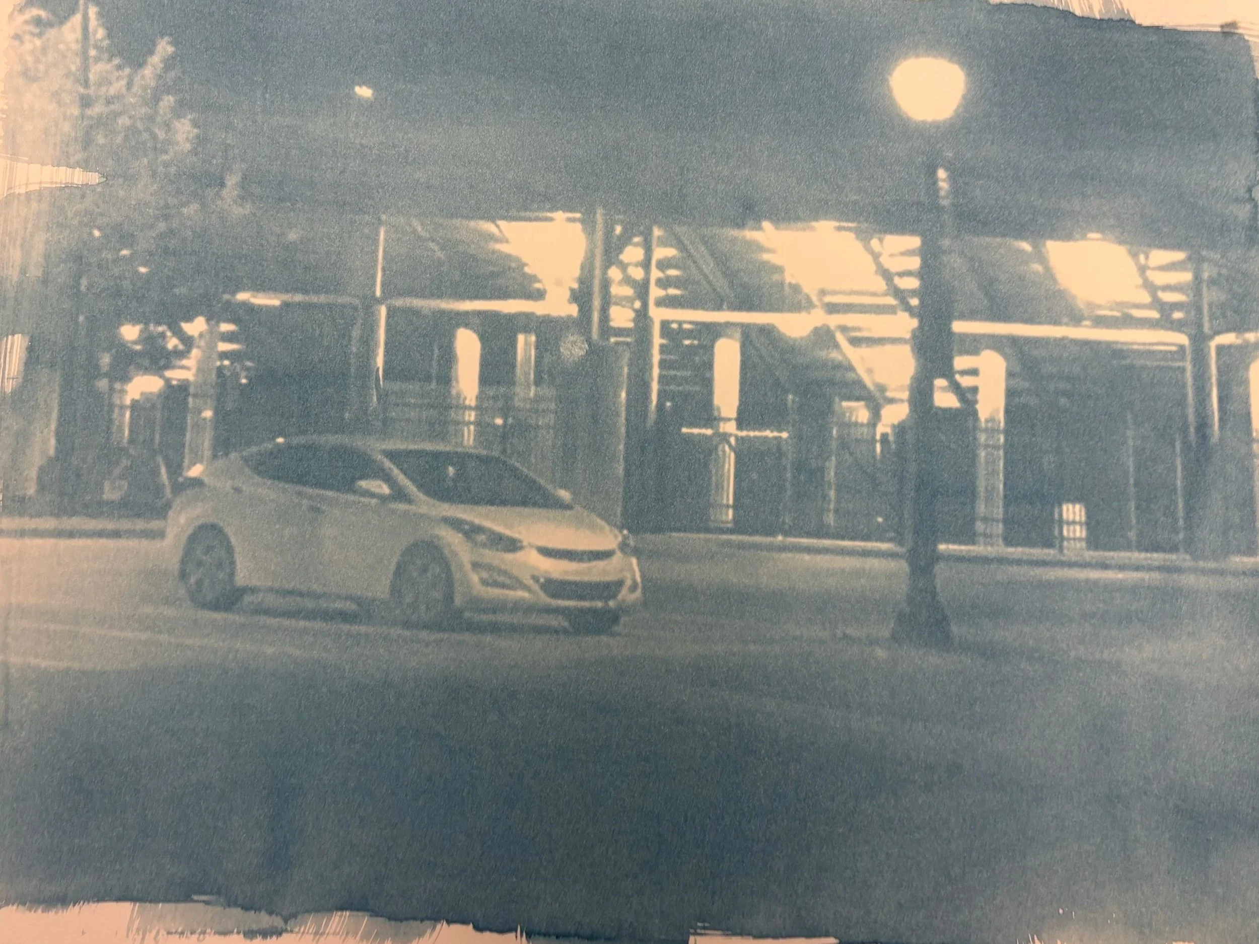 Visitor | Cyanotype Photography | 16x12 | 2025