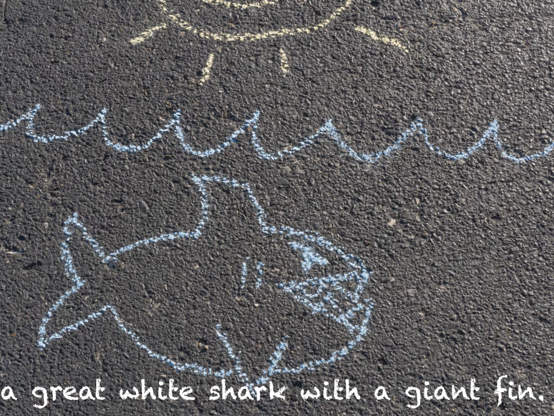 Shark | Film Frame | 4x3 | 2025