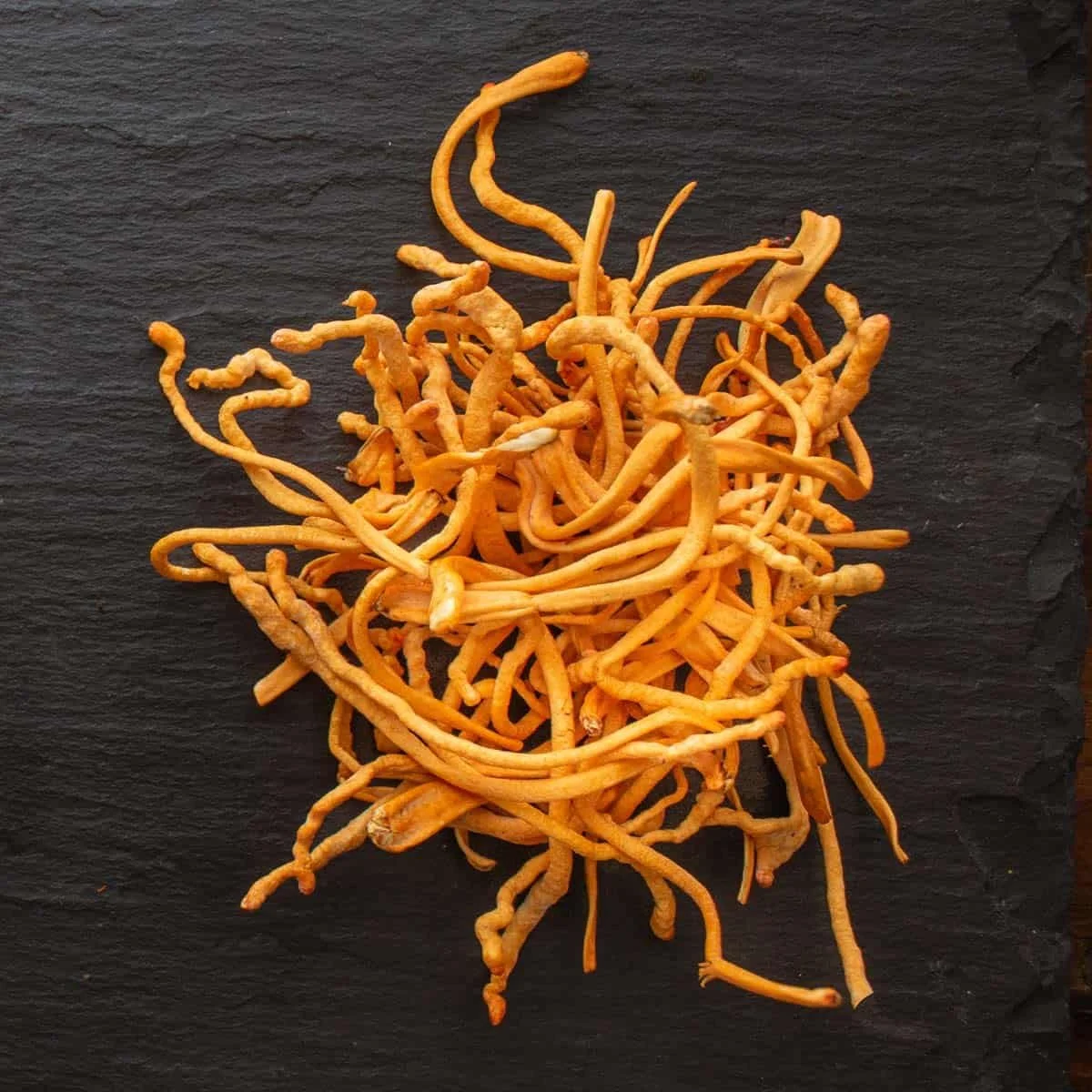 Cordyceps: The Mushroom Everyone Is Sleeping On