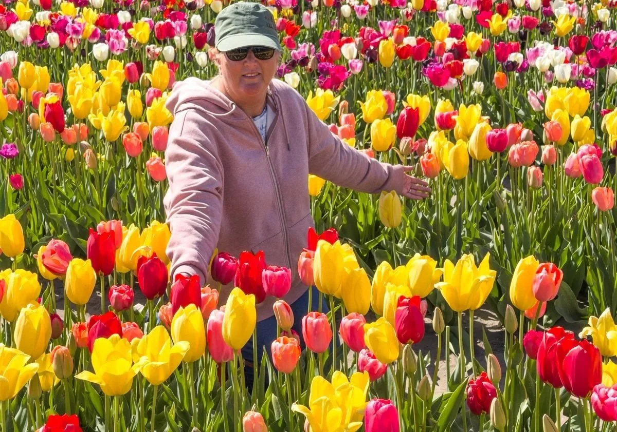 THE NETHERLANDS - 2026