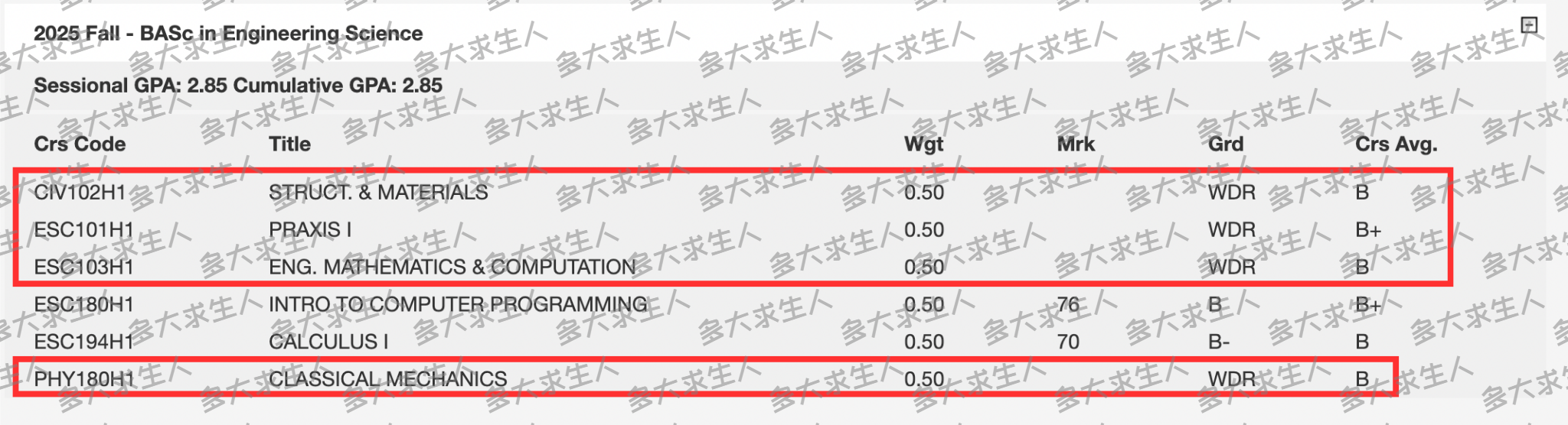 WDR 20250405 watermark.png
