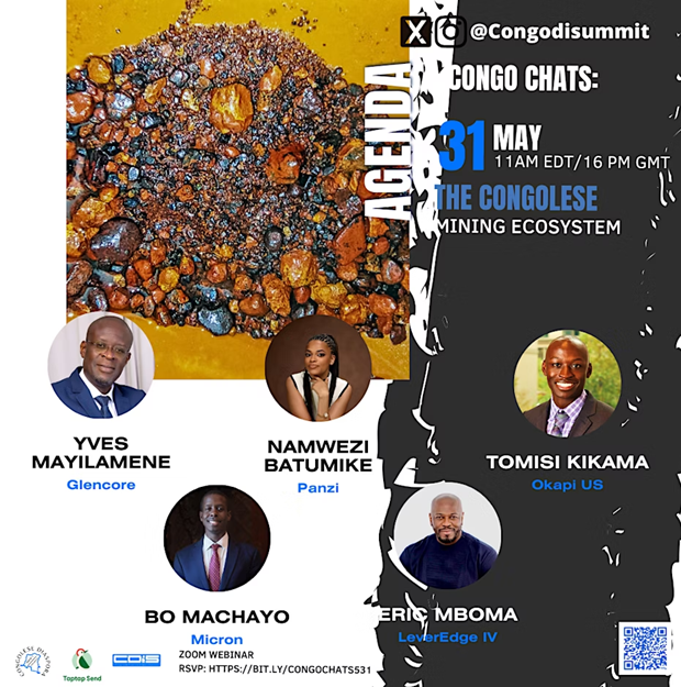 Understanding the Congolese Mining Ecosystem